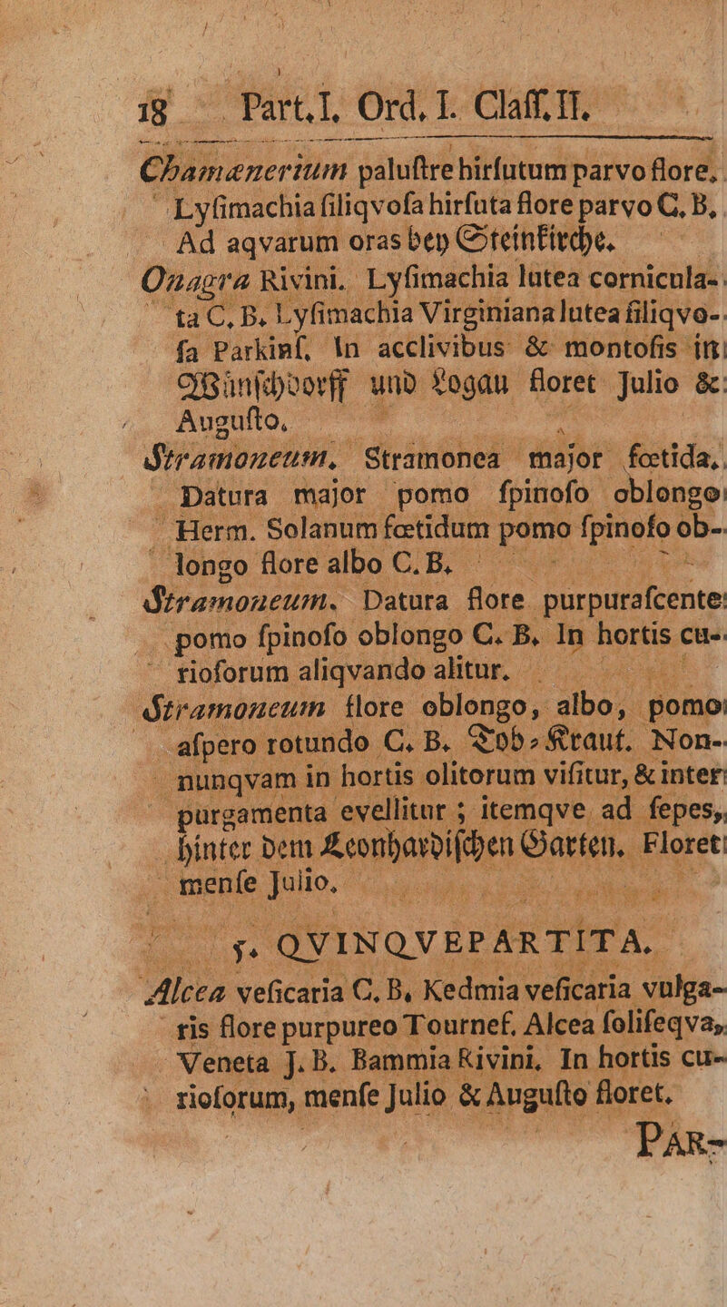 m——— eta € Wi uniniim pálulire hirfutum parvo flore, Lyüi imachia filiqvofa hirfuta flore parvo C, B,. Ad aqvarum oras bep Citeinfitdpe. | Onagra Rivini. Lyfimachia lutea cornicula- TERIS Deis yfi imachia Virginíana lutea filiqvo-. fa Parkimf, In acclivibus &amp; montofis itt orpüngdcorff unb 3 *ogau üpret Julio &amp; Augufto, . diramoneum,. ditiehei major feetida, Datura major pomo fpinofo oblongo Herm. Solanum fetidum pau f Eigund S- ' longo flore albo C. B. - Ks diramoneum, Datura. S Kos v pomo fpinofo oblongo C. B. In. hortis cu.  fioforumaliqvandoalitur. — — diramoncum flore. oblongo, albo, pomo .. afpero rotundo C. B. $05; taut. Non- nunqvam in hortis olitorum vifi itur, &amp; inte£ purgamenta evellitar ; itemqve, ad fepes;, ps Mnt. Denm Aeonbarpifcpen Garten, | Floret 19e Julio. - | vs Da Re psi Ed Qus s E D du ld isovisó fire 1 Alcea veficatia C. B, Kedmia veficaria vulga- ris flore purpureo Tournef. Alcea folifeqva, . Veneta j. B. Bammia Kivini, In hortis cu- Hiolpul menfe Julio &amp; Augufto floret. Pas-