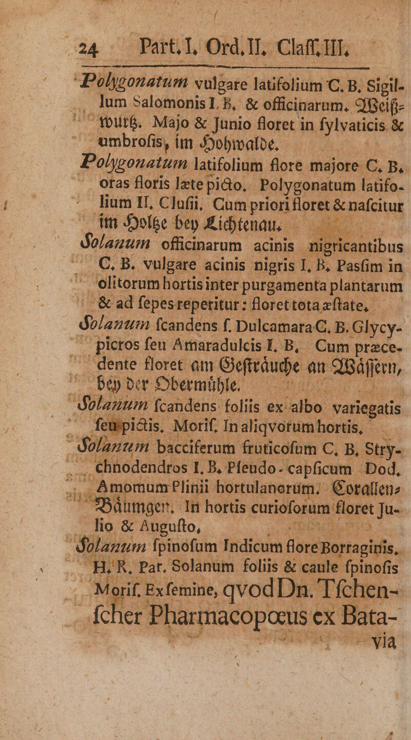 Ln / Pülygonatum. vulgare latfelitihi C. B. Sigil- ^ Youté. Majo &amp; Junio floret in Zfylyaticis e umbrofis is, it óobipalbe, | possa latifolinm flore majore C, B. . otas floris late picto, Polygonatum latifo- lium II, Clufii, Cum priori Horet &amp; nafcitur im olee bep. Aibtenau. — T m Solanum officinarum acinis JA icabtibus, C, B. vulgare acinis nigris I, B. Pasfim in. |. elitorum hortis inter purgamenta plantarum . &amp; ad fepes reperitur: florettotaaflate, — dblavtim fcandens f. Dulcamara C. B. Glycy- | picros feu Amaradulcis I, B, Cum prece- dente floret am Ofiriude en Sát kr E ber Obermüble. — ^ - feupi&amp;tis . Motif, In aliqvotum hortis, . chnodendros I, B, Pfeudo- capficum Dod, , Amomum Plinii hortulanorüm.; otrallenz ümger, In hortis curioforum floret Ju- . lio &amp; Augufto, m bos Pat. Solanum foliis &amp; caule fpinofis rif. Exfemine, qvod Dn. Tfchen- » ier Mito cx Bata- Ronsoottsonia