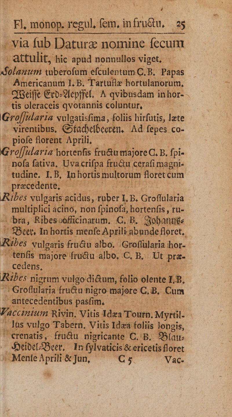 » é . via fub Datura nomine fecum - attulit, hic apud nonnullos viget, dfolauum tuberofum efculentum C.B. Papas - Americanum I. B. Tartuflz hortulanorum, - Cdfie Grb-9lepffel. ^ qvibusdam inhor- . - tis oleraceis qvotannis coluntut, - brifilirio vulgatisfima, foliis hirfatis, lete - virentibus, - Sjtadvlbeuen. Ad fepes Co- . piofe florent Apnh, 04 Groffuaria hortenfis fru&amp;u: majore C. E. fpi- ofa fativa, Uvacrifpa fru&amp;u cerafi magni tudine. IB, E horüsmuleorum floret cum precedente, - | Ribes vulgaris acidus, por L B. Groffularia , muliplic acino, non fpinofa,| hortenfis , ru- ^ bra, Ribesuefficinarum, C, B. yobanne H ^ ffe In hortis menfe Aprili abunde floret. Ribes vulgaris fru&amp;u albo, .Groffülaria thor- -tenfis- majore fru&amp;u. albo. C, A Ut a . cedens, | Ribes nigrum vulgo: di&amp;um, folio blo 15.  Groflularia: fru&amp;u nigro majore » B, Cum  antecedentibus pasfim, gap um Vaccinium Rivin. Vitis Idza Toutn, Myrl. Á . las vulgo Tabern, Vitis Idzá foliis longis, crenatis, ftu&amp;u nigricante C.'B. Stau JoeibeLABeet, — In fylvaticis &amp; ericetis floret - Mente Aprili &amp; Jun, C 5. Vac- Fl, monop. regul, fem, infru&amp;u, 25. LI