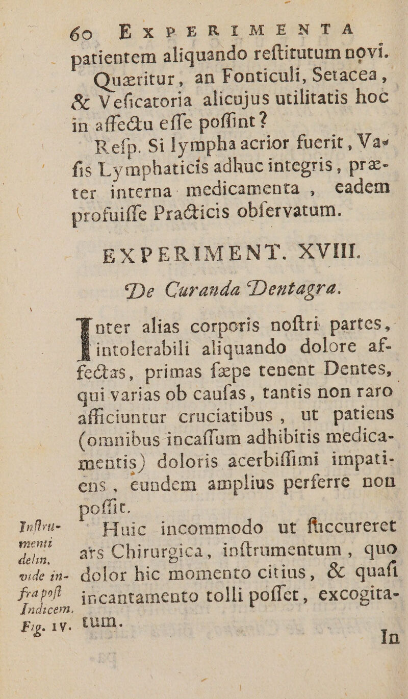 Inflru- pientt delin, vide 1in- fra poft Indicem. Fig. 1V. .- 60 EXPERIMENTA patientem aliquando reftitutum novi. Quzritur, an Fonticult, Setacea ,- &amp; Veficatoria alicujus utilitatis hoc in affectu effe poffint? R efp. Si lympha acrior fuerit , Va» fis Ly mphaticis adhuc integris , pr- ter interna. medicamenta , cadem profuiffe Practicis obíervatum. EXPERIMENT. XVIII. weDe Curanda «Dentagra. E alias corporis noftri partes,- intolerabili aliquando dolore af- fe&amp;tas, primas faepe tenent Dentes, qui varias ob caufas, tantis non raro. afficiuntur cruciatibus , ut patiens (omnibus incaffum adhibitis medica-. mentis) doloris acerbiffimi impati- ens, eundem amplius perferre. non pofíit.  Huic incommodo ut füccureret ars Chirurgica, inftrumentum , quo dolor hic momento citius, &amp; quafi incantamento tolli poflet, excogita- tum. |