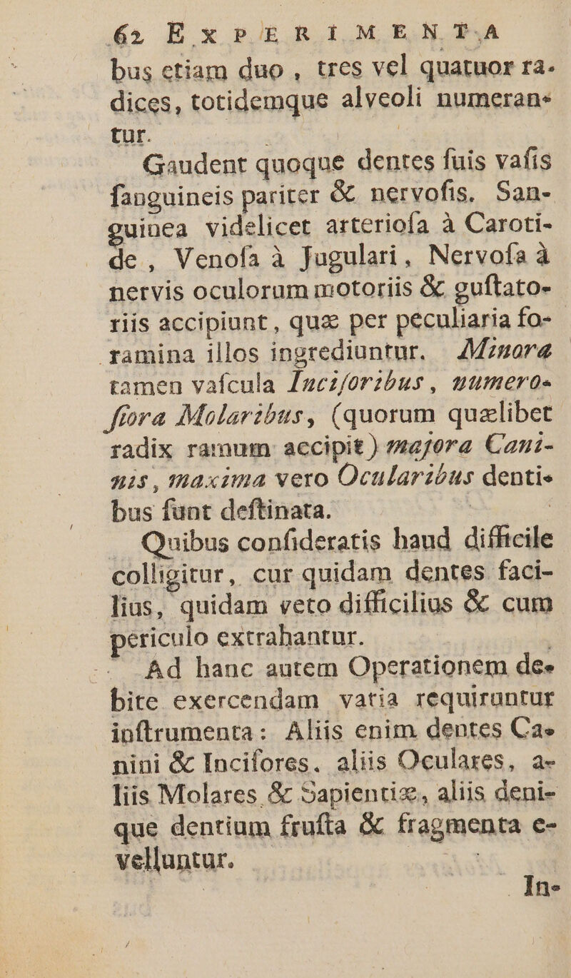 bus etiam duo , tres vel quatuor ra- dices, totidemque alveoli numeran: tur. ia | Gaudent quoque dentes fuis vafis fanguineis pariter &amp; nervofis, San- uinea videlicet arterioía à Caroti- de , Venofa à Jugulari, Nervofa à nervis oculorum motoriis &amp; guftato- riis accipiunt, quz per peculiaria fo- ramina illos ingrediuntur. | 4Mzsarz tamen vafcula Jucz/orzbus , uumero- Jffora Malaribus, (quorum qualibet radix ramum: accipit ) »270ra Cani- nis5, TRO xima vero Ocularzéus dentis bus funt deftinata. M. Quibus confideratis haud difftcile colligitur, cur quidam dentes faci- lius, quidam veto difficilius &amp; cum periculo extrahantur. ; — Ad hanc autem Operationem dee bite exercendam vatia requiruntur ipftrumenta: Aliis enim dentes Ca» nini &amp; Incifores. aliis Oculares, a- liis Molares &amp; Sapientiz, aliis deni- que dentium frufta &amp; fragmenta e- velluntur. EE | Ine