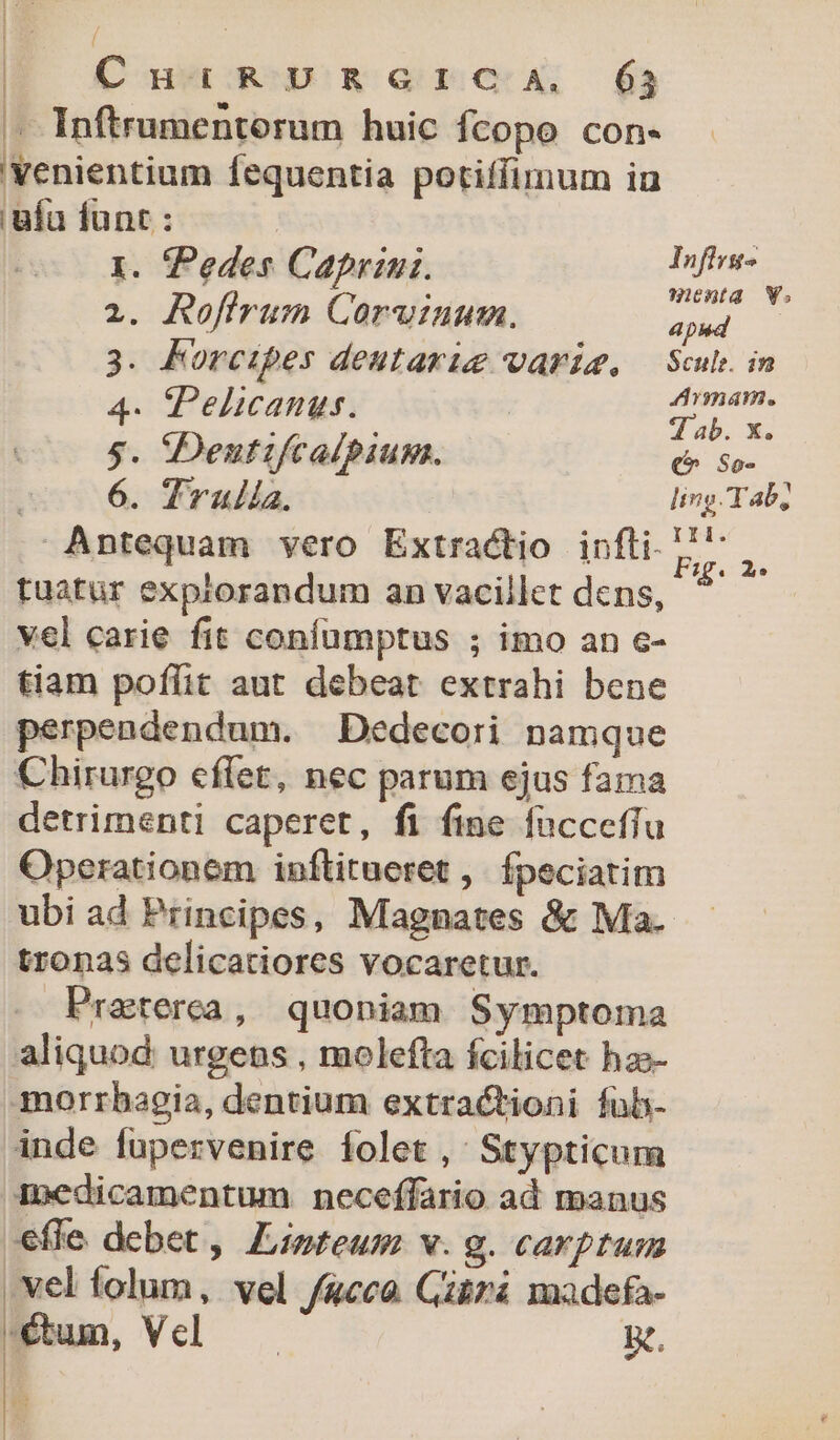 - Inftrumentoerum huic fcopo con- 'Yenientium fequentia potiffimum iu ufa fünr : I. Pedes Caprini. p 21. Rofirum Corvinum. aud 3. Korcipes deutarig varie, Scl. in 4. Pelicanus. | ueris E &amp; ab. X. 5. i Deutifcalpium. Pi sos ^ 6. Trulia. ling Tab Antequam vero Extractio infti. '!' - Fg. 2 tuatuür expiorandum an vacillct dens, vel carie fit coníumptus ; imo an e- tiam poffit aut debeat extrahi bene perpendendum. Dedecori namque Chirurgo eflet, nec parum ejus fama detrimenti caperet, fi fine fuccefiu Operationem inftitueret ,. fpeciatim ubi ad Principes, Magnates &amp; Ma. tronas delicatiores vocaretur. Praterea, quoniam Symptoma aliquod urgens , molefta fcilicet hzs- morrhagia, dentium extractioni fub- inde fupervenire folet, Stypticum medicamentum neceffario ad manus -efle debet , Lipteum v. g. carptun vel folum, vel /&amp;cca Ciirá madefa- Rum, Vel — Bt,