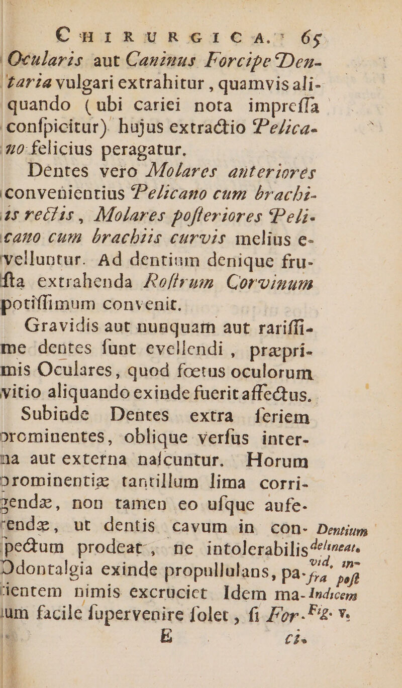 € HiRURGICA:; 64 Ocularis aut Cauzzus Forcipe *Den- 'Zaria vulgari extrahitur , quamvis ali- quando (ubi cariei nota imprceífa confpicitur). hujus extractio ZeZca- |40 felicius peragatur. Dentes vero Molares anteriores 'convenienrius PeZicano cum brachz- as reciis , Molares pofleriores SPeli- £4H0 Cum brachiis curvis melius e- velluntur. Ad dentium denique fru- fta extrahenda RofÓrum. Gorviaum potiffimum convenit. | Gravidis aut nunquam aut rariffi- me dentes funt evellendi, prapri- mis Oculares, quod foetus oculornm. vitio aliquando exinde fuerit affectus, . Subinde Dentes extra fÍeriem orominentes, oblique verfus inter- na aut externa naícuntur. Horum orominentiz tantillum lima corri- zendz, non tamen eo ufque aufe- 'endz, ut dentis cavum in con- Dewium pedum prodeat, ne intolerabilis4*ee.. 2dontalgia exinde propullulans, pa. jhdhe: dentem nimis excrucict Idem ma- Indicem ium facile Íupervenire folet , fi For. P: v.  ES Cf.