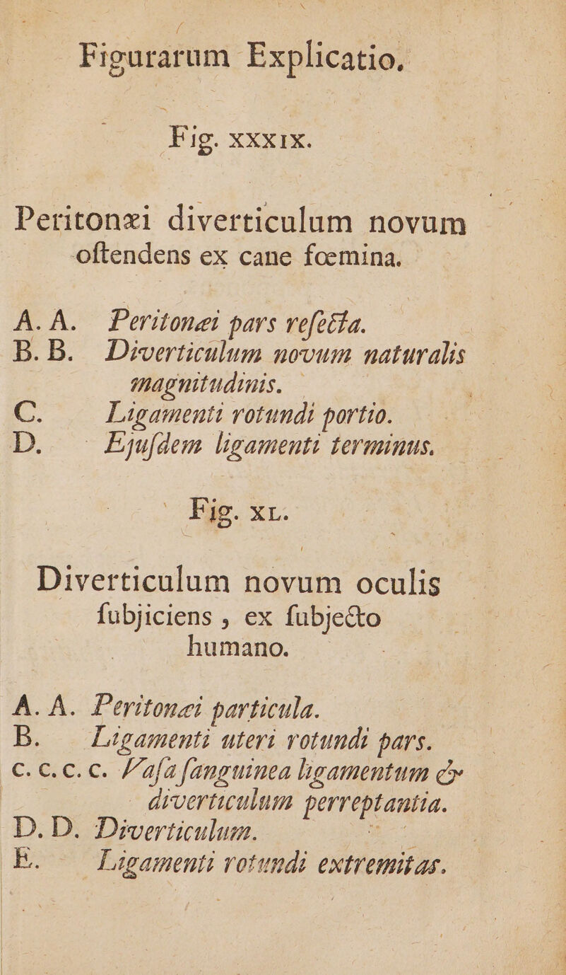 Fig. xxxix. Peritonxi diverticulum novum oftendens ex cane foemina. c) o .A..— Peritonei pars vecta. .B. Diverticulum novum naturalis magnitudinis. — Ligamenti votundi portio. | Egu[dem ligamenti terminus. 20 dae. Xr. Diverticulum novum oculis fubjiciens , ex fubje&amp;to humano. A. À.. Peritonei particula. B. | Liüigamenti uteri votundi pars. c. c. c.c. afa fanguinea lgamentum c» | arvertuculum perreptantia. D. D. Diverticulum. 2 EB. —— Ligamenti rotundi extremitas.