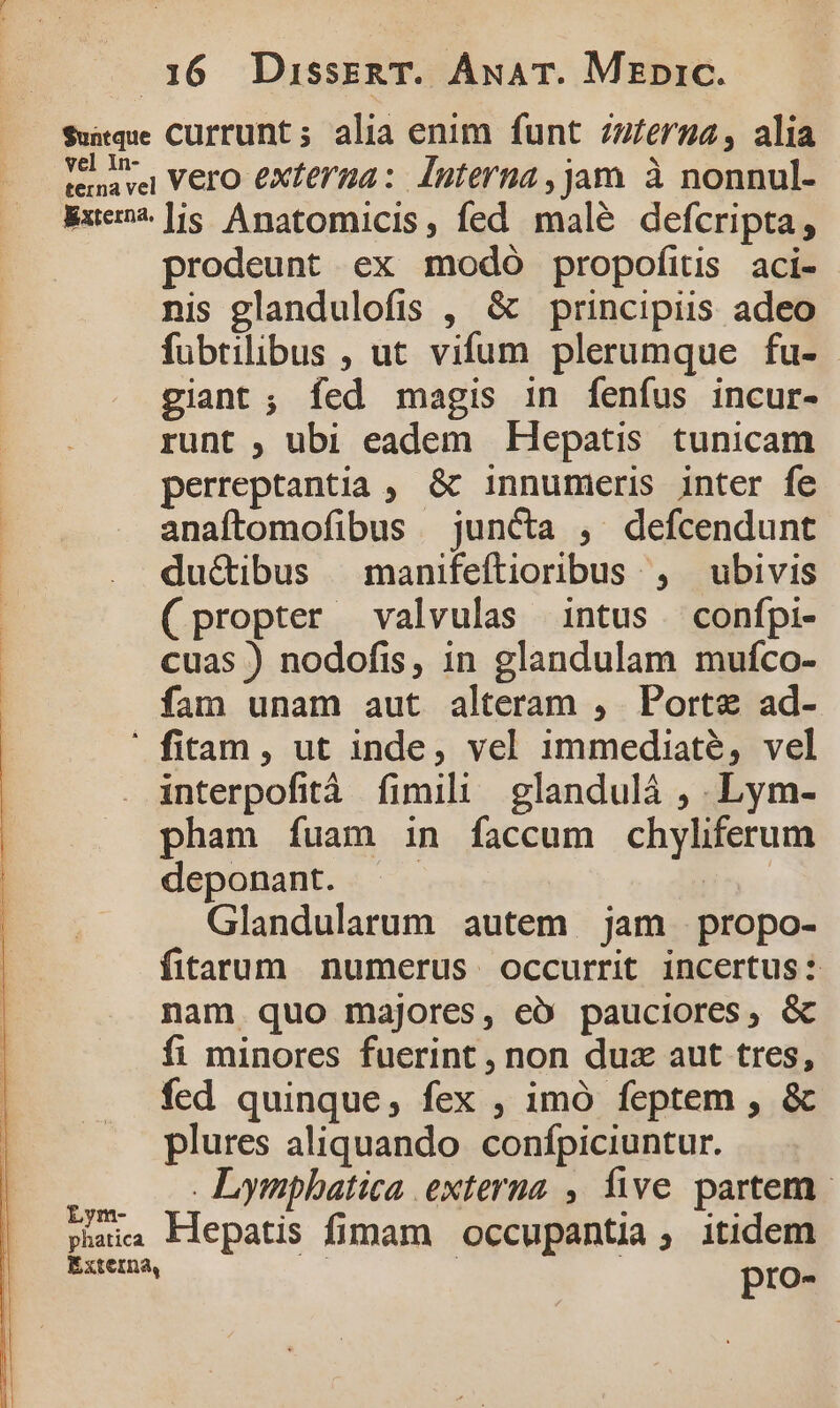 $uique Cüurrunt; alia enim funt /z£erga, alia vd wr i vero externa: Interna, jam à nonnul- jxe*]is Anatomicis, fed malé defcripta, prodeunt ex modó propofitis aci- nis glandulofis , &amp; principiis adeo fubtilibus , ut vifum plerumque fu- giant ; fed magis in fenfus incur- runt , ubi eadem Hepatis tunicam perreptantia , &amp; innumeris inter fe anaftomofibus juncta , defcendunt duc&amp;ibus |manifeftioribus , ubivis (propter valvulas intus confpi- cuas ) nodofis, in glandulam muíco- fam unam aut alteram , Porte ad- ' fitam , ut inde, vel immediaté, vel interpofità fimili glandulá ,.Lym- pham fuam in faccum chyliferum deponant. | | Glandularum autem jam propo- fitarum numerus occurrit incertus: nam quo majores, eo pauciores, &amp; fi minores fuerint , non duz aut tres, fed quinque, fex , imó feptem , &amp; plures aliquando. confpiciuntur. E Lymphatica externa. , five partem phaia Flepatis fimam occupantia, itidem Externa, : pro-