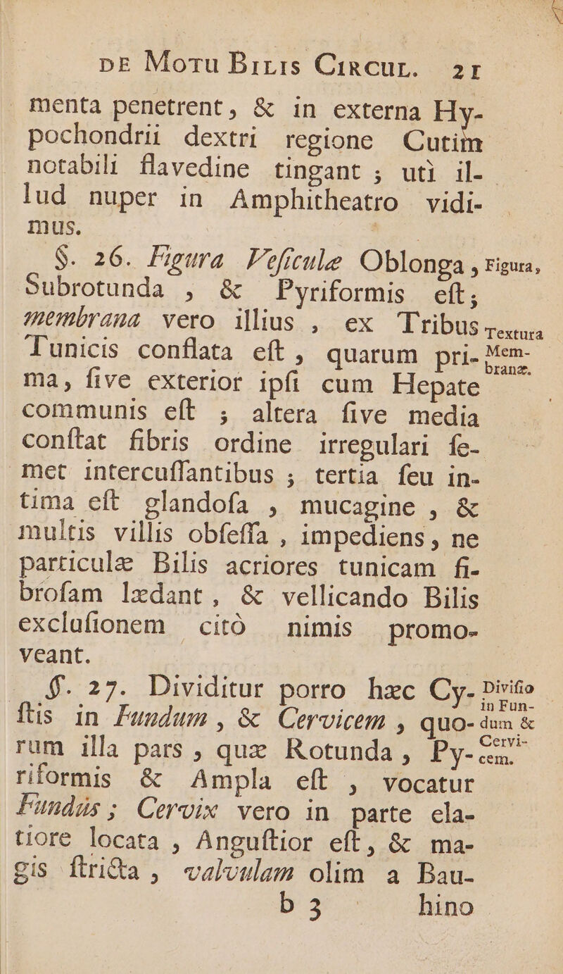 menta penetrent, &amp; in externa Hv. pochondriü dextri regione Cur notabili flavedine tingant ; uti il- lud nuper in Amphitheatro vidi- mus. | S. 26. Figura Peficule Oblonga , rigua, oSubrotunda , &amp; Pyriformis eft; membrana vero ilius , ex Tribus dexrüpa lunicis conflata eft, quarum pri- Mem- ma, five exterior ipfi cum Hepate communis eft ; altera five media conftat fibris ordine irregulari fe- met intercuffantibus ; tertia feu in- tima eft glandofa , mucagine , &amp; multis villis obfeffa , impediens , ne particule Bilis acriores tunicam fi- brofam lxdant, &amp; vellicando Bilis exclufionem — citó — nimis promo- veant. | | $. 27. Dividitur porro. hzc Cy. Diii» [füs in Pusdum , &amp; QCervicem » quo- irs rum illa pars , que Rotunda, Py-—z- riformis &amp; Ampla eft , vocatur PFundüs; Cervix vero in parte cla- tiore locata , Anguftior eft, &amp; ma- gis ftri&amp;a ,' valvulam olim a Bau- Da hino