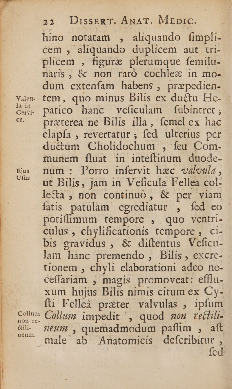 Valvu- la in Cervi- [e| «s Eius , Uíus non re- &amp;ili- neum, 22 DussER T. ANAT. MEDIC. hino notatam , aliquando fimpli- cem , aliquando duplicem aut tri- plicem , figurz plerumque femilu- naris , &amp; non raró cochlez in mo- dum extenfam habens , prxpedien- tem, quo minus Bilis ex du&amp;u He- - patico hanc veficulam — fubintret ; praterea ne Bilis illa, femel ex hac elapía , revertatur ; fed ulterius per ductum Cholidochum , feu Com- munem fluat in inteftinum duode- num : Porro infervit hzc valuta , ut Bilis, jam in Veficula Fellea col-- le&amp;a , non continuó , &amp; per viam fatis patulam egrediatur , fed eo ' potiffimum tempore , quo ventri- culus , chylificationis tempore , ci- bis gravidus ; &amp; diftentus Veficu- lam hanc premendo , Bilis , excre- tionem , chyli elaborationi adeo ne- ceffariam , magis promoveat: efflu- xum hujus Bilis nimis citum ex Cy- fti Felleà prater valvulas ; ipfum Collum impedit , quod em vechi- t , quemadmodum paflim , aft male ab Anatomicis ES : | ed