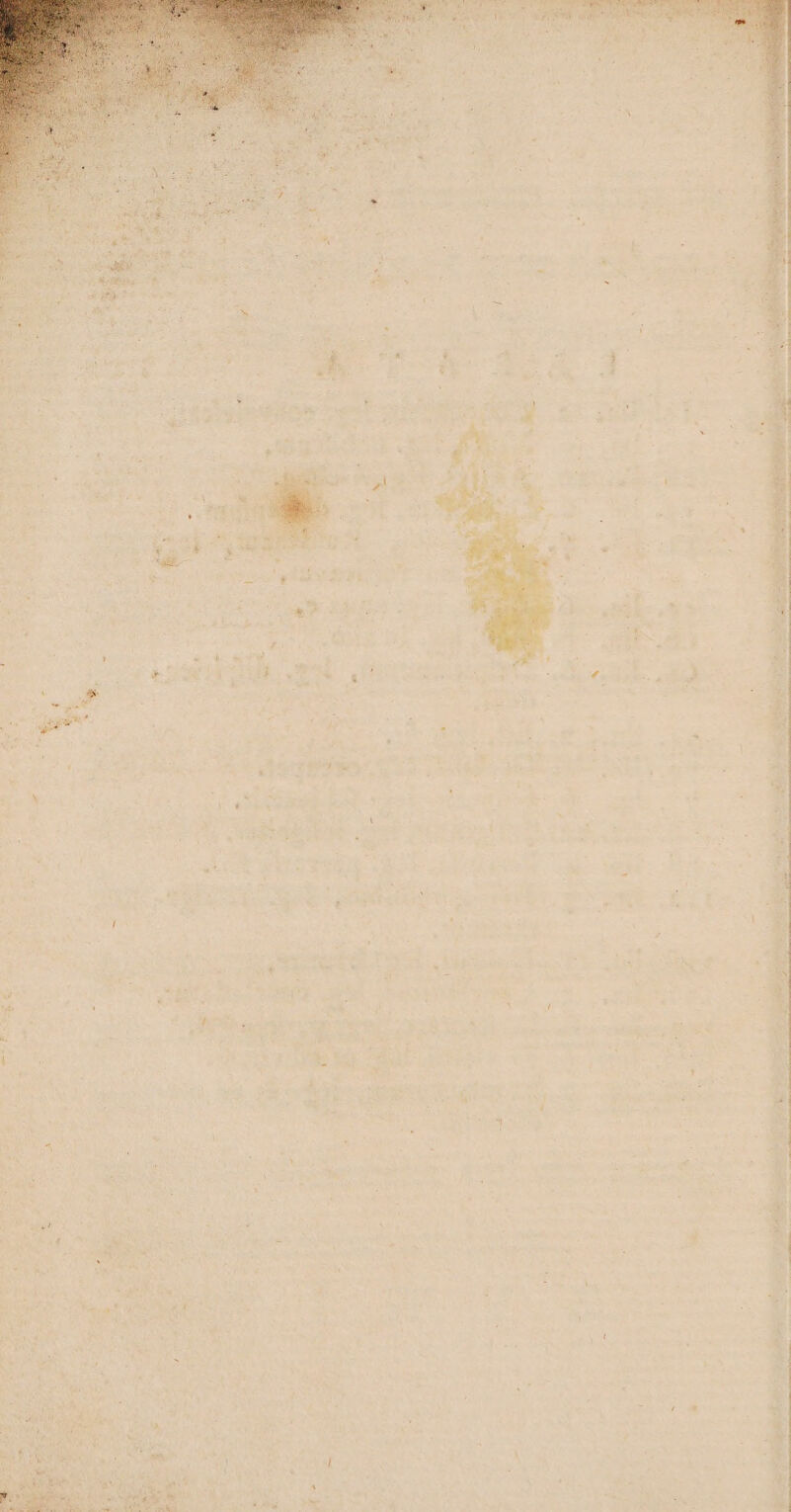 * o ari Y ' y W - - L e i H * t B * L 1 D H * $ (cms  4 e ^ Z M i  ^-^ ue - á à e