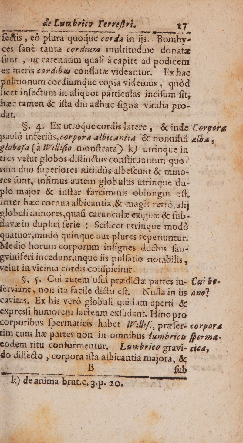 h Tv NURS A ND . h j ri di . cde Lumbrico Terrefrri, ——— 17 cyrus oed mer ——— 00 one Mo Remi Re Lie e&is , eó plura quodue corda in ijs.. Bomby- ces fane tanta corrum multitudine donatae fuat , ut carenatim quafi àcapite ad podicem i ex metis eordiber conflat videantur, Exhac. P pulmonum cordiumáue copia videmus , quód licet infectum in aliquot particulas incifüm fit; hec tamen & ifta diu adhuc figna viralia pio- p dat, | | i L ride / | S. 4. Ex utrojuecordis latere ,' & inde Corpora d paulà inferiüs, corpora albicanria & nonnihil alba, — — gioboya (à Williffo monftrata?) k) utrinque in i tres velut globos diftin&tos conftituonntur: quas c0 rüm duo fuperiores nitiidüs albefcunt & mino- . res iunt, infimus autem globulus utrinque du- ple major & inftar farciminis oblongus eft, iater hxc cornua albicantia,& magis rettó,alij globuli minores,quafi carunculx exiis & fub- Havzin dupliciferie ;. Scilicet utririque modó quatuor,modó quinque aat plures reperiuntur. Medio horum corporum infignes ducas fàn- gviniferi incedunt;inque iis pulíatie notabilis , velut ia vicinia cordis confpicitur. : 0507 ERAS 0008. $. Cui autem ufi przdicte partes in- Cri Be ferviant , non ita facile dictu eft, /— Nulla in iis 450? cavitas, Ex his verà globuli quidam aperti. & expresíi humorem lactenm extüdant, Hinc pro corporibus fpertnaticis habet. Jf, prafer- co pora tim cum ha partes non. in omnibus f4»bricis fperma- codem ritu conformentur, — Larmórico gravi- zie4, do dile&o , corpora ifta albicantia majora, & ! , op Uc web vs Mp eM eh MTS eh ntsetneor omes : . k) deanima brut.c, 3p VN 2) MUR y . 20.