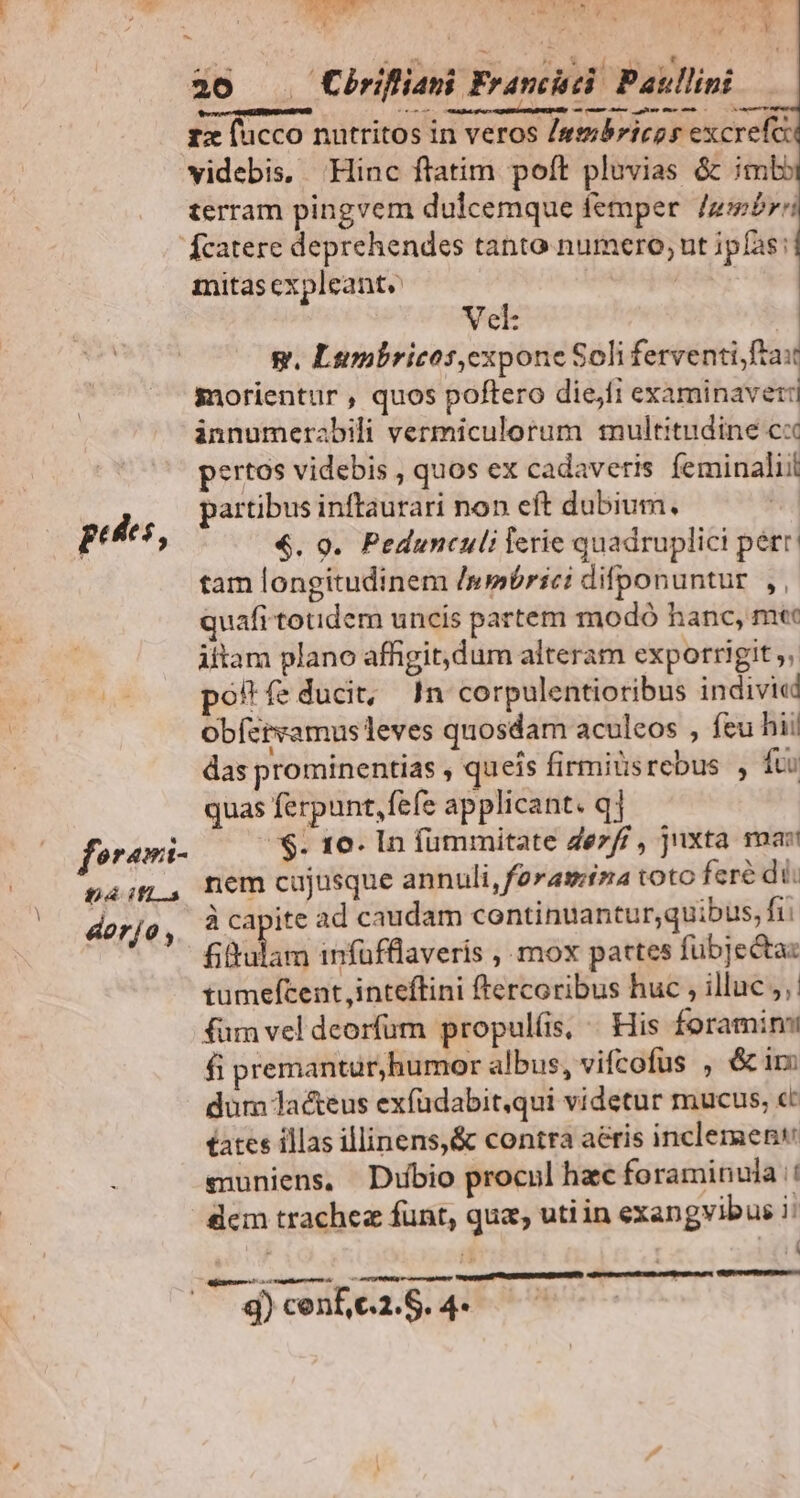 e HET BS S UN MEL. HITES ^ P EE 30 . Cirifiani Francuci Pakllini baa, ARS ACEAUAL. nee pee zz fucco nutritos in veros /szbricos excrefe videbis. Hinc ftatim poft pluvias & imlb terram pingvem dulcemque femper. /gbrri fcatere deprehendes tanto numero; ut ipfas: mitasexpleant. | Vel: g. Liumbricos,expone Soli ferventi, frau morientur , quos poftero diejfi examinaveri innumerabili vermiculorum multitudine cx pertos videbis , quos ex cadaveris feminaliit partibus inftaurari non eft dubium. €. 9. Pedunculi lerie quadruplici pert: tam longitudinem /wmbrici difponuntur |, quafi totidem uncis partem modo hanc, mtt ittam plano affigit,dum alteram exporrigit ;, ». poftfeducit, In corpulentioribus indivicdd Obíztvamus leves quosdam aculeos , feu hii! das prominentias , queis firmitisrebus , fti quas ferpunt, fefe applicant. qj (ofereni- S. 10. ln fümmitate Zezf/ , jixta ma pag, nem cujusque annuli, fara toto feré dii dorjo , à ind ad caudam continuantur;quibus, fi: fittulam infüfflaveris , mox partes fübjecta: 1umefcent ,inteflini ftercoribus huc , illuc ,, fum vel deorfum propul(is, « His foraminni fi premantur,humor albus, vifcofus , &im düm lacteus exfudabit,qui videtur mucus; « tates illas illinens,& contra aéris inclement muniens, Diubio procul hac foraminula :: | ' ; , 7 d) cenf,c.1. S. 4* petes,