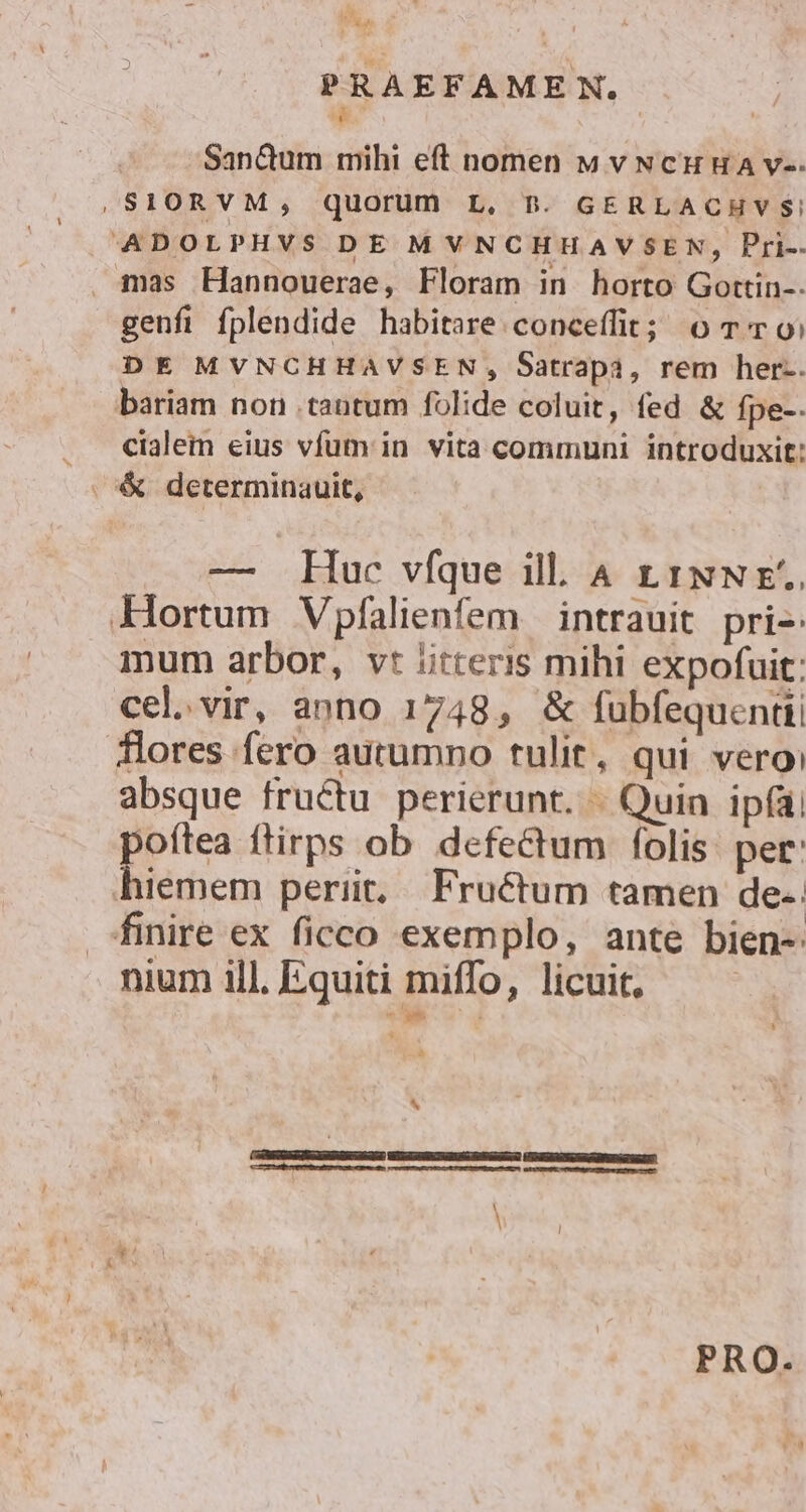 ^ | SanQum mihi eft nomen w v Ncu ua v-- ,SIORVM, quorum L, n. GERLACHVS ADOLPHVS DE MVNCHHAVSEN, Pri-- . mas Hannouerae, Floram in horto Gottin-. genfi fplendide habitare conceffit; o TT o DE MVNCHHAVSEN, Satrapa, rem her-. bariam non tantum folide coluit, fed &amp; fpe-- cialem eius vfüm in. vita communi introduxit: .&amp; determinauit, — Huc vfque ill. 4 1 1rNNE.. Hortum Vpfalienfem | intrauit pri-: mum arbor, vt Jitteris mihi expofuit: cel.vir, anno 1748, &amp; fubfequentii flores fero autumno tulit, qui vero: absque fructu perierunt. - Quin ipfa, poítea ftirps ob defectum folis: per: hiemem periit, Fructum tamen de-: finire ex ficco exemplo, ante bien-: nium ill. Equiti miffo, licuit, | | PRO.