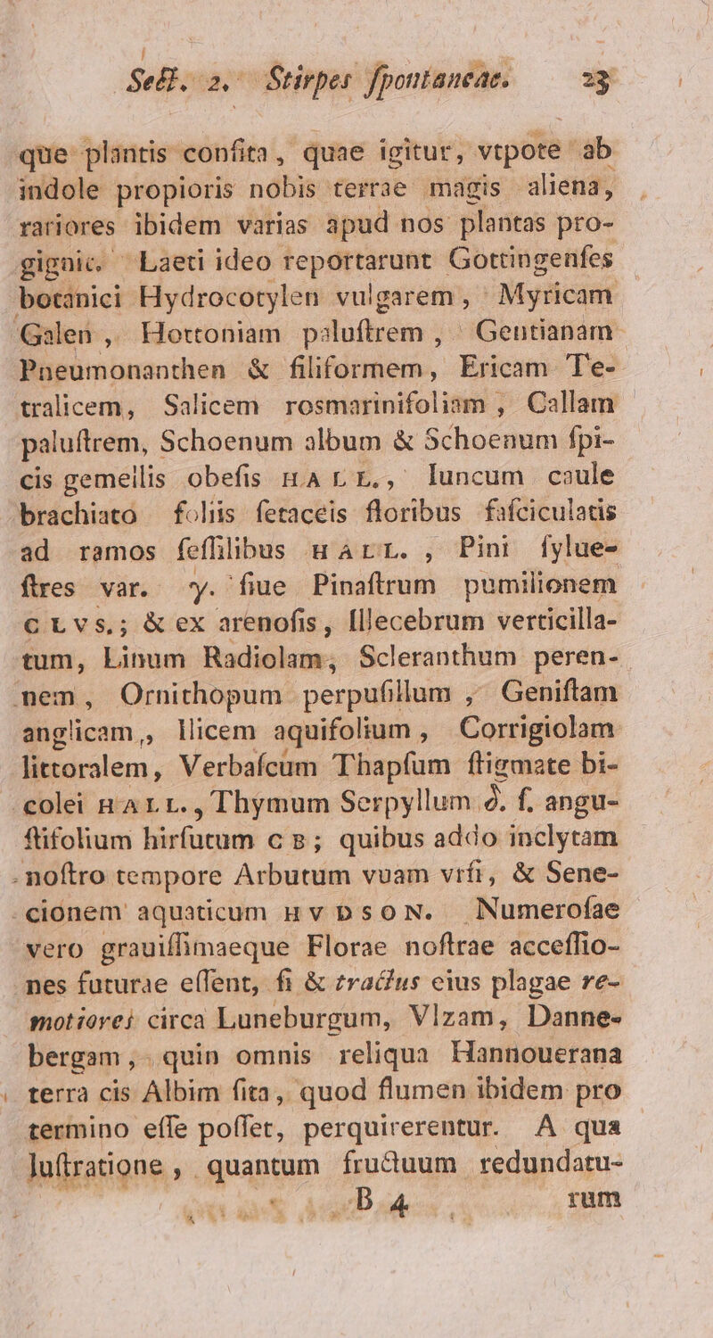 / ^R T : Sek. 2. Stirpes fpontaneae. 23 que plantis confita , Quae igitur, vtpote ab indole propioris nobis terrae magis aliena, rariores ibidem varias apud nos plantas pro- gignic. Laeti ideo reportarunt Gottingenfes Paeumonanthen &amp; filiformem, Ericam Te- paluftrem, Schoenum album &amp; Schoenum fpi- cis gemellis obefis tA rr., luncum caule brachiato — folis fetaceis floribus fafciculatis ad ramos fefhlibus HALL., Pin l[ylue- fires var. y. fiue Pinaftrum pumilionem CLvs,; &amp;ex arenofis, [llecebrum verticilla- tum, Linum Radiolam; Scleranthum peren- anglicam,, llicem aquifolium , Corrigiolam littoralem, Verbafcum Thapíum ftigmate bi- ftifolium hirfutum c 2; quibus addo inclytam vero grauifhmaeque Florae noftrae acceffio- motiorei circa Luneburgum, Vlzam, Danne- bergam, quin omnis reliqua Hannouerana terra cis Albim fita, quod flumen ibidem pro termino eífe poffet, perquirerentur. A qua luftratione , quantum fruduum | redundatu- t ivDdes. rum É^w ^