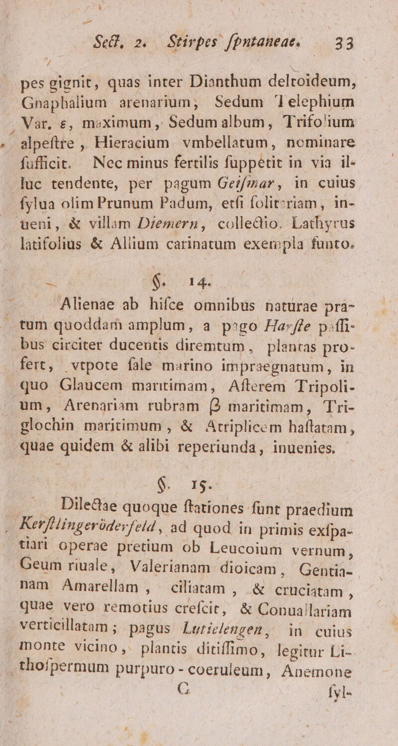 A r6 —- pes gignit, quas inter Dianthum delroideum, Gnaphalium arenarium; Sedum '1elephium Var, , msximum ,. Sedum album, Trifo'ium alpeftre ,, Hieracium. vmbellatum, nominare fufficit. Nec minus fertilis fuppetit in via il- luc tendente, per pagum Gezfmar, in cuius fylua olim Prunum Padum, etfi folit?riam, in- ueni, &amp; villam Dzemern, colledio. Lathyrus latifolius &amp; Allium carinatum exempla funto. S S 14. . Alienae ab hifce omnibus natürae pra- tum quoddam amplum, a psgo Ha-ffe p.ff- bus circiter ducentis diremtum , plantas pro- fert, vtpote fale marino impraegnatum , in quo Glaucem marntimam, Afterem Tripoli- um, Arenariam rubram (2 maritimam, Tri- glochin maritimum , &amp; Atriplicem haflatam, &amp; xg Dilectae quoque ffationes fünt praedium tlari operae pretium ob Leucoium vernum, Geum riuale, Valerianam dioicam, Gentia- . nam Amarellam , ciliatam , &amp; cruciatam , quae vero remotius crefcic, &amp; Conuallariam verticillatam ; pagus Lutielengem, in cuius monte vicino ,. plantis ditiffimo, legitur Li- * fyl-