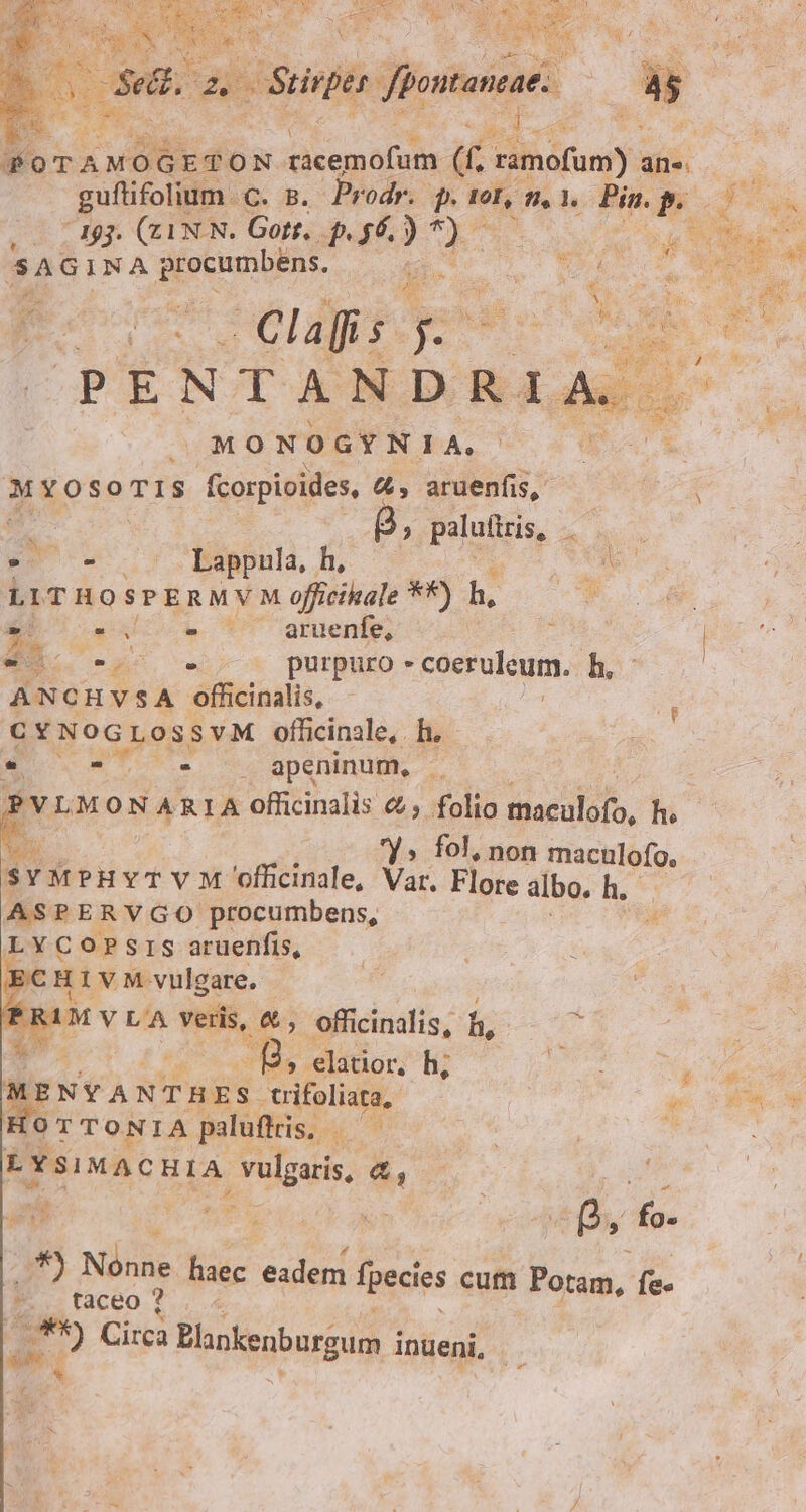 à OT ETON die maia n Silly ane. guftifolium C. 5. Prodr. p. toL, f. 1. Pin. i auk (0 1a8j. QN N. Gott, p. 56. ws DONE caue 8A GINA rsune Eve Clas. p PENTANDRI. MONOGYN IA. M YOSOTIS ori 4, aruenfis, | F | alas SN NE ] ! E. Lappula, h, Nox. LITHOSPERMVM officihale **) h, 9e A gb. Wn aruenfe, dA. ou purpuro » - coerulcum. h.c AN CHVSA officinalis, cv NoG jLos SvM officinale,. h. LI - e ets ; apeninum, T : E LMONARIA officinalis &amp;; folio maculofo, hs Uto J » fol, non maculofo., $vMPHYTVM 'officindle, Var. Flore albo. is afe ASPERVGO procumbens,  LYC OPSIS aruenfis, € H1 v. M vulgare. aMv L'A veris, Lo officinalis, f h. t » elatior, h; WD rr - NYANT BEs S. L'trifoliugi. je E NDS OTTONIA paluftis, — Siro E Ysi MAC HIA volgoris, &amp;, , n sii m ij ; ns fo. (* ) Nen haec eadem fpecies cum Potam, fe. ^. . faceo E Circa Blokenburgum inueni, * E d