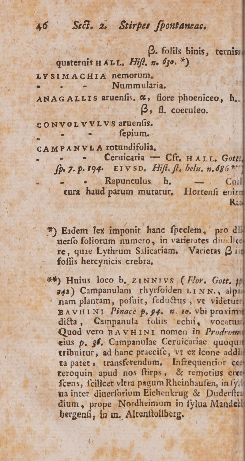 - A6 ^ Seed. | 2 Btirper Jpontaneac, * 7 f n ox X foliis binis, ternis: atitath H ALL, Hifl, n. 6;o. *) LYSIMACHIA nemorum, . . - Nummularia. ANAGALLIS aruenfis, €, flore phoeniceo, h.. ; X -Q, fl. coeruleo. CONVOLVVLVS aruenfis. - - fepium. - ^ CAMPANVLA rotundifolia, d ; * Ceruicaria — Cfr, HArLr, Gotti fp 7. p.194. E1v s. FHifl. fl. belu. n, 695 5* 3 3 . .Rapuncuus bh, | — |. Cuill cura haud parum mutatur, Llortenfi enir R&amp; *) Eadem lex imponit .hanc fpeciem, pro dii uerfo foliorum numero, in varietates diu«líee re, quae Lythrum Salicariam, ^ Varietas 5 ug foffis hercynicis crebra, GP) Huius loco b, zixNrIvs ( For. Gott, 1 242) Campanulam thyrfoiden L1N N., alpsi ' mam plantam, pofuit, fcdu&amp;us , vt. videtutr BAVHINI Pinace p. g4. 9. 10. vbi proxim dicta, Campanula foliis | 'echit, vocatur Quod vero pA VvH1NI nomen in Prodronm eius p, 36. Campanulae Ceruicariae quoqu: tribuitur, ad hanc praecife, vt ex icone addii ta patet, transferendum, Infrequentior ce teroquin apud nos ftirps, &amp; remotius cree fcens, fcilicet vltra psgum Rheinhaufen, in iy; »uainter diuerforium Eichenkrug &amp; Duderftci dium , prope. Nordheimum in fylua: Viotden bergenfi, in in. Altenítoliberg.