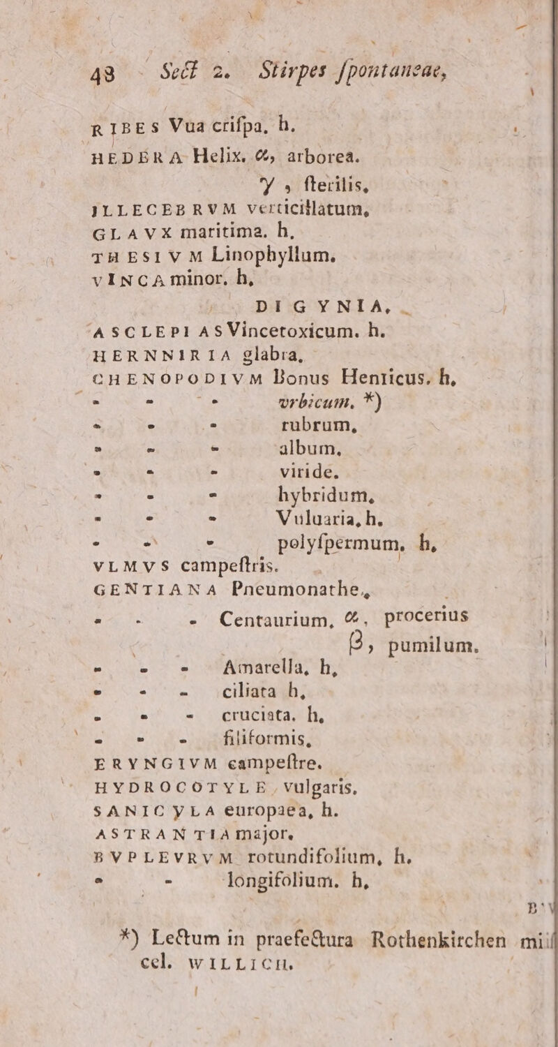 RIBES Vua crifpa, h. k- HEDÉR A Helix. €, arborea. P 3 fterilis, JLLECEBRVM verticillatum, GLAVX maritima, h, TH ESI V M Linophyllum. vINCA minor, h, DI GYNIA, 'ASCLEPI ASVincetoxicum. h. HERNNIRIA glabra, : CHENOPODIVM Donus Henricus. h, ác   vrbicum, *)  * - rubrum, Y  E album, , 4 . viride. : : * hybridum,  » - V uluaria, h. T RES S EAE pelyfpermum, b, vLMVS campeftris. GENTIANA Pneumonathe,, Bs - Centaurium, &amp;, procerius ; pumilum. !] - ». 5 -Amarella, h, l Pe v..v velmas E 3 - cruciata, h, Qo o€v d einsidfilitarmis; ERYNGIVM campeflre. HYDROCOTYLE , vulgaris, SANICyLA europaea, h. ASTRAN TIA major. 8VPLEVRVM rotundifolium, h. . . longifolium. h, Hi *) Le&amp;um in praefe&amp;tura Rothenkitchen mi! cel. wiLLicmn. |