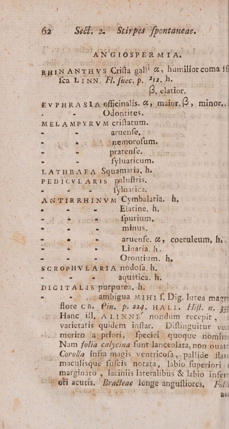 L ^  / * 62 . Sul. 2 Stirpes fpontaneae. AN'GIÓSPER MIA. aud ANTHVS illa galli . humilior coma i íca L1NN. Fl. (i PouehS  clatior, . - E orítites.. 4 3 | MELAMPYRYVM criftatum. | : - - aruenfe, ; - 0$ àv MA nemorofum. íi pratenfe. - - fyluaticum. LATHRAEA Squamario, h.- PEDICVL ARIS paluftris, . 4^ NNUS 4ylaarica, ANTIRRHINVM S vsibllitin. h, : aeu v Elatine. -D «od DÀ) E » fpurium, ^ - e minus. - tano m aruenfe. &amp;, coeruleum, hs - n : Lioaria. h. DX Y E - .— Orontium. h, | SCROPHVLARIA nodofa, h, s 2 aquatica, h. DIGITALiS purpurea, h. ^ «.; | à - ' ,;4mbigua MIHI f. Dig. lutea maet! flore cB. fin, p. 244, HALL. Hif «. $5 ».Hanc il, A LINNE nondum recepit, . varietatis quidem inflar. Diftinguitur. vei merito à;priori, fpeciei quoque iomlm Nam folia calycina fant. lanceolata, non ouat: Corola infra magis ventricofa,. pallide. flaw maculisque fufcis notata, labio fuperiori marginato , laciniis laretalibüs &amp; labio infer ^ eti acus. Bradfeae. lenge angufliores, Fil T 1! q^ wies Wi |