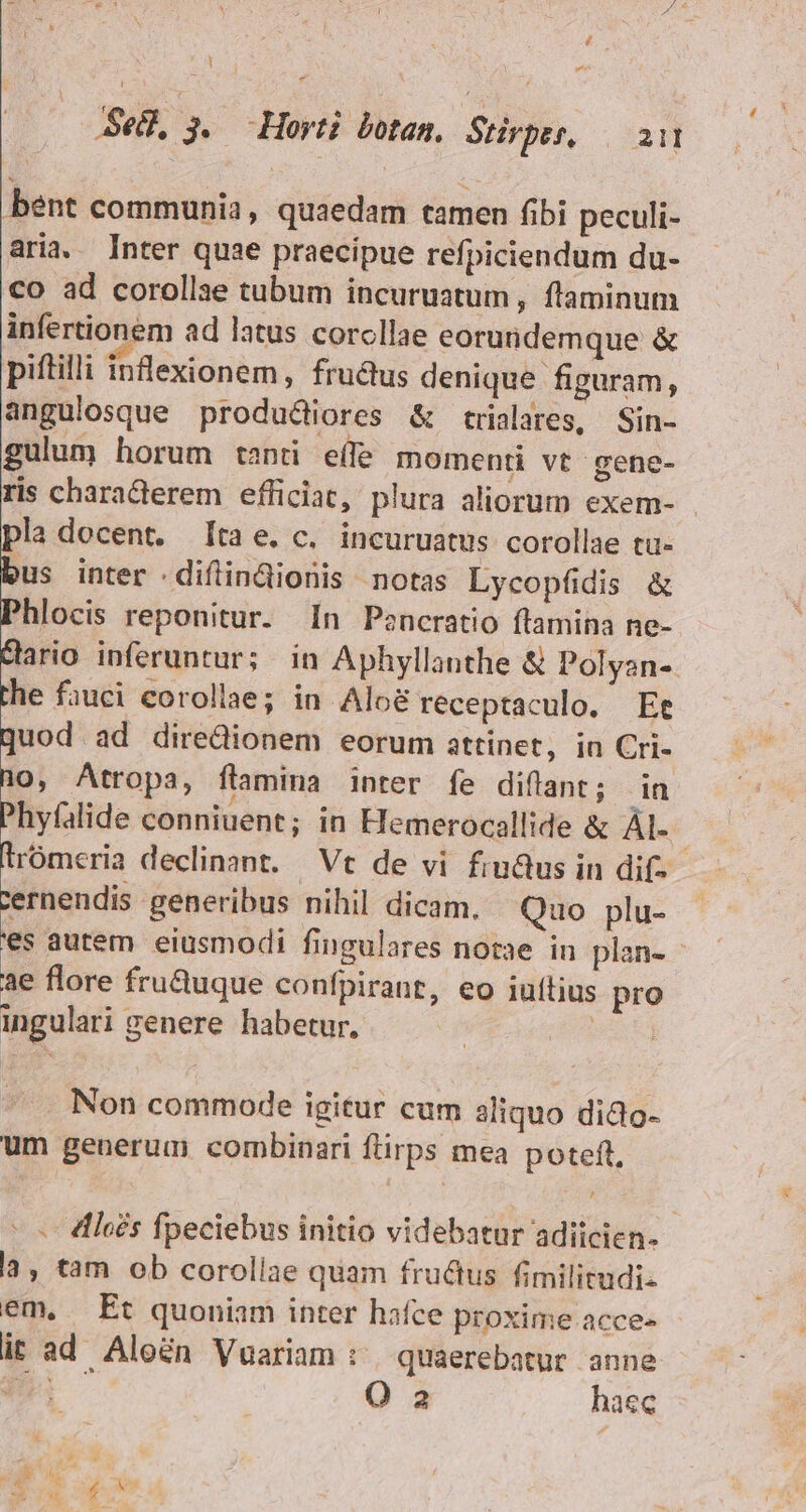 [4 Sedi, n Hoyt: botan. Stirpes — in bént communia, quaedam tamen fibi peculi- aria. Inter quae praecipue refpiciendum du- co ad corollae tubum incuruatum , flaminum infertionem ad latus corcllae eorundemque &amp; piftilli infexionem, frudus denique figuram, angulosque produ&amp;iores &amp; trialares, Sin- gulum horum tant efe momenti vt gene- ris characterem efficiat, plura aliorum exem- . la docent. tae. c. incuruatus corollae tu- b. inter .diflindionis notas Lycopfidis &amp; Phlocis reponitur. 1n Pencratio flamina ne- Hlario inferuntur; in Aphyllanthe &amp; Polyan-. the fauci corollae; in Alo&amp; receptaculo. Ee uod ad diredionem eorum attinet, in Cri- O0, Atropa, ftamina inter fe diflant; in hyfalide conniuent; in Hemerocallide &amp; AI. trómeria declinant. Vt de vi finus in dif. cernendis generibus nihil dicam. Quo plu- es autem. eiusmodi fingulares notae in plan-- ae flore fru&amp;uque confpirant, eo iuítius pro ingulari genere habetur, Non commode igitur cum aliquo dido- um generum cormbinari flirps mea poteft, - dloés fpeciebus initio videbatur adiicien- la, tam ob corolíae quam fructus fimilitudi- em, Et quoniam inter hafce proxime acce- it ad Aloén Vuariam : | quaerebatur anne
