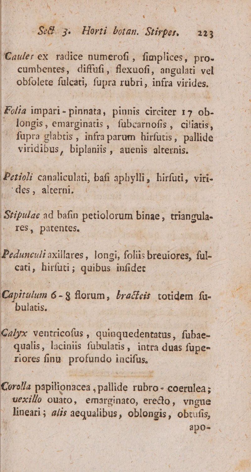 h | . : / M | SeG. 3. Horti botan. Stirper. 223 Cauler ex. radice numerofi , fimplices, pro- |. cumbentes, diffufi, flexuofi, angulati vel obfolete fulcati, fupra rubri, infra virides. Folia impari- pinnata, pinnis circiter 17 ob- ' longis, emarginatis , fübcarnofis, ciliatis, | fupra glabtis , infra parum hirfütis, pallide viridibus, biplaniis , auenis alternis. Petioli canaliculati, bafi aphylli, hirfuti, viri- 2065. ater 6. ——. : b | P * 3 HS h : ^. : Stipulae ad bafin petiolorum binae, triangula- - I6S, patentes, Pedunculi axillares , longi, foliis breuiores, ful- cati, hirfuti; quibus infidet Capitulum 6-8 florum, bracfeis totidem fu- bulatis. ! Galyx ventricofüs , quiaquedentatus ,. fubae- qualis, laciniis fübulatis, intra duas fupe- riores finu. profundo iacifus, Corolla papilionacea , pallide rubro - coerulea; | vexillo ouato, emarginato, erecto, vngue . lineari; 4//s aequalibus, oblongis, obtufis, à apo- | | |