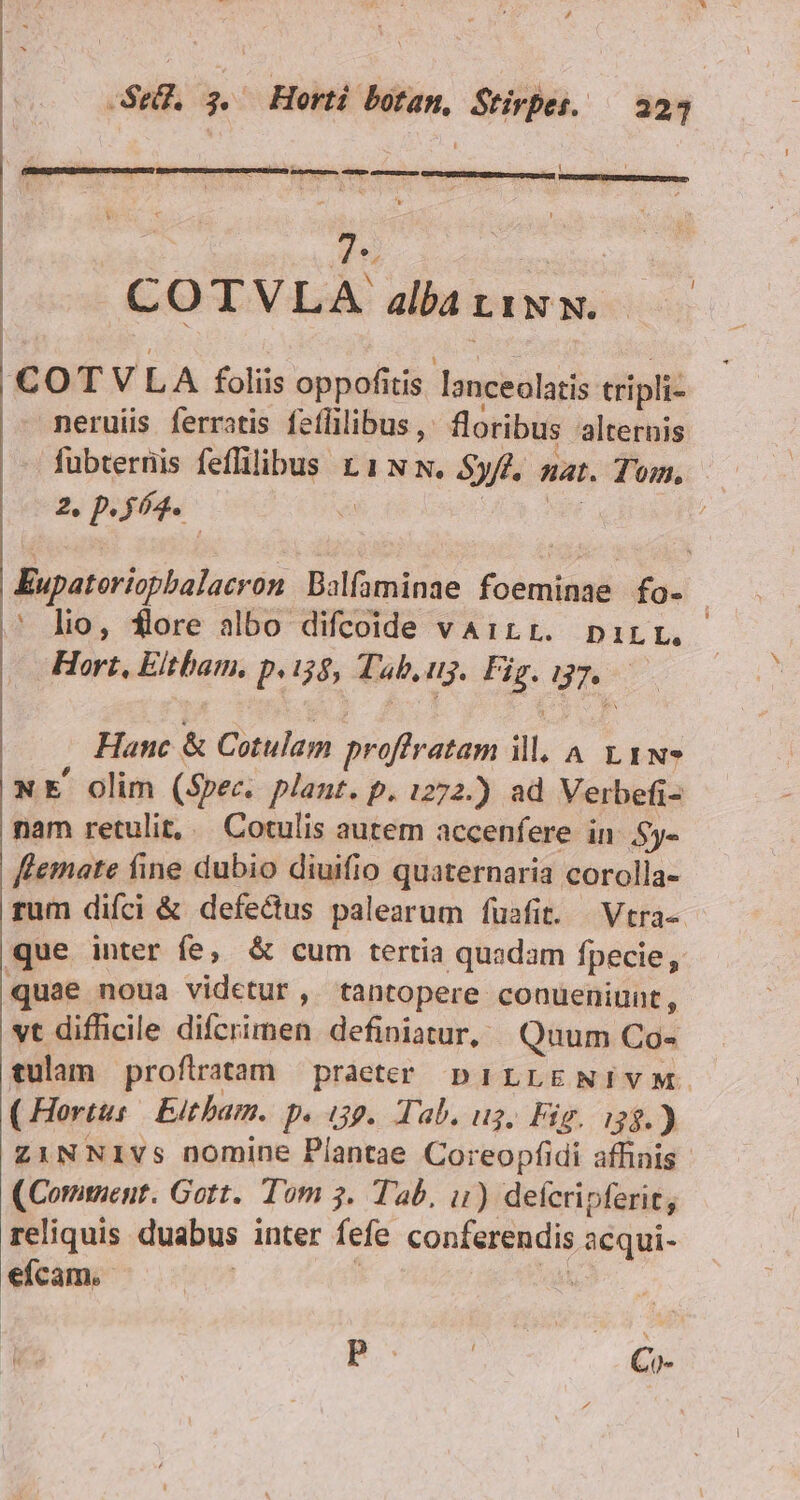 MBETIUIUN URUSEEETURRDECT E Cy 7 COTVLA alba LIN N. /COTVLA foliis oppofitis lanceolatis tripli- nerui ferratis feflilibus , floribus alternis 2. p. 6d. I Hort, Eltham. p. i58, Tab, ij. Fig. gn Hanc &amp; Cotulam proffratam il A LIN? NE olim (Spec. plant. p. 1272.) ad Verbefi- nam retulit, Cotulis autem accenfere in. y- flemate fine dubio diuifio quaternaria corolla- rum difci &amp; defedus palearum fuafit. | Vtra- que inter fe; &amp; cum tertia quadam fpecie, quae noua videtur, tantopere conueniunt, vt difficile difcrimen defipniatur, Quum Co- ( Hortts Etha. p 39. Tab. u$. Fig. i38.) (Comtzent. Gott. Tom 5. Tab, i1) defcripferit, reliquis duabus inter fefe FOU SR acqui- efcam. P. | Co-