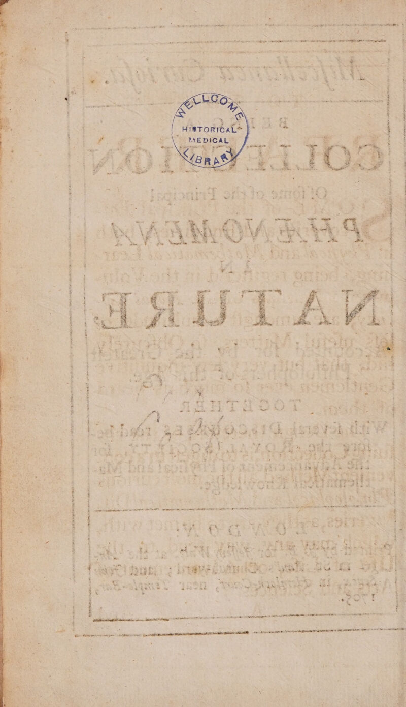 i 3 ne ve EY rt * te CAL ¥ Pe ~ | aaeneenlnontre PR ME DiC Aad Toe.” a : F : : ipaeestiee “she sonic petite en RY RN ABT IN ONES AE ARN INEG, Lesh Nich ics ree aera Hp men REE OOH NO! mraz meaner sail unnelere 4 “i ; ; : =. p e rate. ee ae . — ' Layne a toe pot a ” ” a AA A oo eng cantar me Ap be iy es GR RIE. as han tbr AEC RAINE PAR EE sari tiem mn r 5 ys i) > +