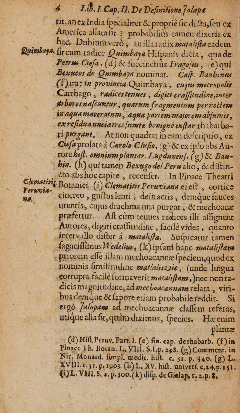 ILC,  AES. BA DH CRGO A RISORE LP DIE S i Rc . tXitahnexIndia fpecialiter &amp;c propric fic dicta,feu ex. America allatafit ?. probabiliüs tamen dixeris ex hac. Dubium veró ,. an illa radix sgata//fla eadem. fit cum radice Quimbaya Hifpanis dicta, quade- Petrus Crefa , (d) &amp; fuccin tius Fragofm , (e)qui  Bexucos de Quimbaya nominat. — Cafp. Basbinus € f)irat?n provincia.Quimbaya » €Hnjus metropolss : Carthago , radicestennes , digiti craffitudineymter | Arboresna[cuntur , quarum fragmentum per notlem dnaquamaceratum , Aqua partem majorem ab[niit, .extefiduauncietres [amta bouigné inflar vhabarba- tipurgant,/— Atnon quadrat ineam defcriptio , ex . Ciefa prolataà Carolo Clufio, ( g) &amp; ex ipfo abs Au- tore bif. omnium plantar. Lugdunenf. ( g)&amp; Bau- . bin. (hb) quitamen Bexugode! Perualio, c diftin- (uo S, VO abshoccapite , recenfet. | In Pinace Theatti | any *:Botanici. (1) Clematitis Peruviana ci eft., cortice | wa —— Cinereo , guftuslenti ; deinacris, denique fauces. : urentis; cujus drachma una purgat , &amp; mechoace prefertur... Aft cüm tenues radices illi affignent. . Autores, digiti craffitudine , facil vides , quanto - intervallo diftet à | »a12/:/da. Sufpicatur tamen | - ;fagaciffimus Wedel, (k)ipfant hanc matalflam | » priorem effe illam mechoacannz Ípeciem,quodex . bominis fimilitudine ssa?lsljtztie, (unde lingua | ,€ortupta facile formaverit »ara/iflapa ,)nec nonra- dicis magnitudine, àd »ecboacannam relata , viti | busdeniQue &amp; fapore etiam probabilereddir. Si | ergà falapam i; mechoacannz claffem referas, utique aliafit, quàm diximus, fpecies. Heenim.- 5 (d) Hift Peruv, Part. I. ( fin. cap. derhabarb. (£) in Pinace 1b. Botan, L, Vil. S.l. p. 208. (g) Comment. in Nic, Monard. fimpl, medic. hift. c. s1. p. 340. (g) T4 - XVIH.c. 51. pe 1903. (b) L, XV. hift. univer. c,24,p. 11. €Q)L.VI1.$, 2. p. 300. (k)difp. de Gielap. c, 2p. &amp;.— re : ;» *