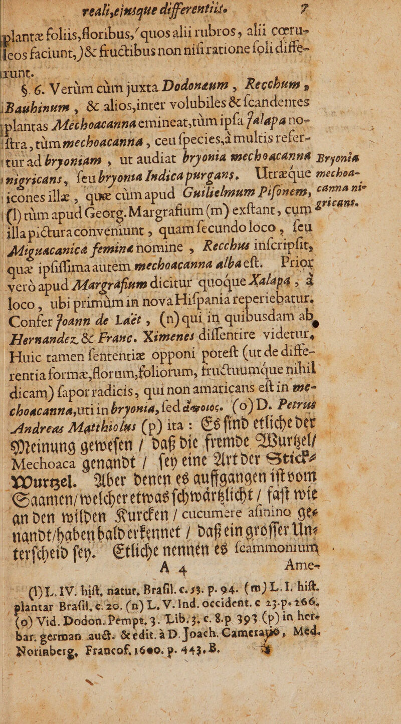 2o raliyiniquediferentito 0*0 planta foliis floribus, quosalii rubros, alii corru» cos faciunt, )&amp; fructibusnon nifiratione foli diffe- ' 6.6. Verüm càm juxta Dodoneum , Recchum ) iBaubinum , &amp; alios,inter volubiles &amp; Ícandentes plantas Méthoacanna emineat, tüm ipfaf4lapano- ftra tüm mechboacanna , ceu fpecies, multis refer- iturad &amp;rgomiam , ut audiat bryonia smecboacanna gryonia imigricans , leubryona Indicapurgass. Vitraque mecboa- iiconesille,, que cümapud Gwilielsum Pifonem, cma ni- 10) cüm apud G im ibd ddl allapicturaconveniunt , quam fecundoloco , feu | Miguacanica femine omine , Reccbus infcripfit,. que ipfiffima autem ssechoacanna albactt. — Prior veró apud 7Margráfinm dicitur quoque Xalapa ; à loco, ubi primümin nova Hifpania reperiebatur, Confer feann de Laet , (n)qui in quibusdam ab, Hernandez &amp; Franc. Ximenes dillentire videtur, Huic ramen fententiz opponi poteft (ut dediffe-.. rentia forma,florum,foliorum, fractuumque nihil: dicam) fapor radicis, qui non ose in me- choacanna,uxi in bryonia, [ed deroiec. (0) D. Petrus Andreas Matthiolus (p) ita : C$ fino etfidbeber. — Smeinung getoefen / baf bie frembe 2iuréel/ Mechoaca genanoft / (eb eine 2trt oer extict2 NMoOurgel. 2i6er benen e8 auffaanoen ifteom | jaamen/ troekdoer ettoag febtodrBfiobt / faftmíe — an oen tof(pen $Surden / cucumere afinino Qe qianbt/baben balb erfennet / Daf eim groffer tine terfipeio fep. Gtfice nennen e$ fcammonium ^ (DL.IV. hift, ratur, Brafil. c. 5: p- 94. (m) L.T. hift. , plantar Brafil, €. 20. (n) L. V. Ind. occident. e 25.p. 166. (0) Vid. Dodon.Pémpt. 3. Lib.3. c. &amp;.p. 393 (p) in hete bar. german. aud. &amp; edit. à D. Joach. Camerayó , Med. : Retinberg, Francof. 16e0. p. 443. B. i eorg. Margrafium (m) exftant, cum T ^