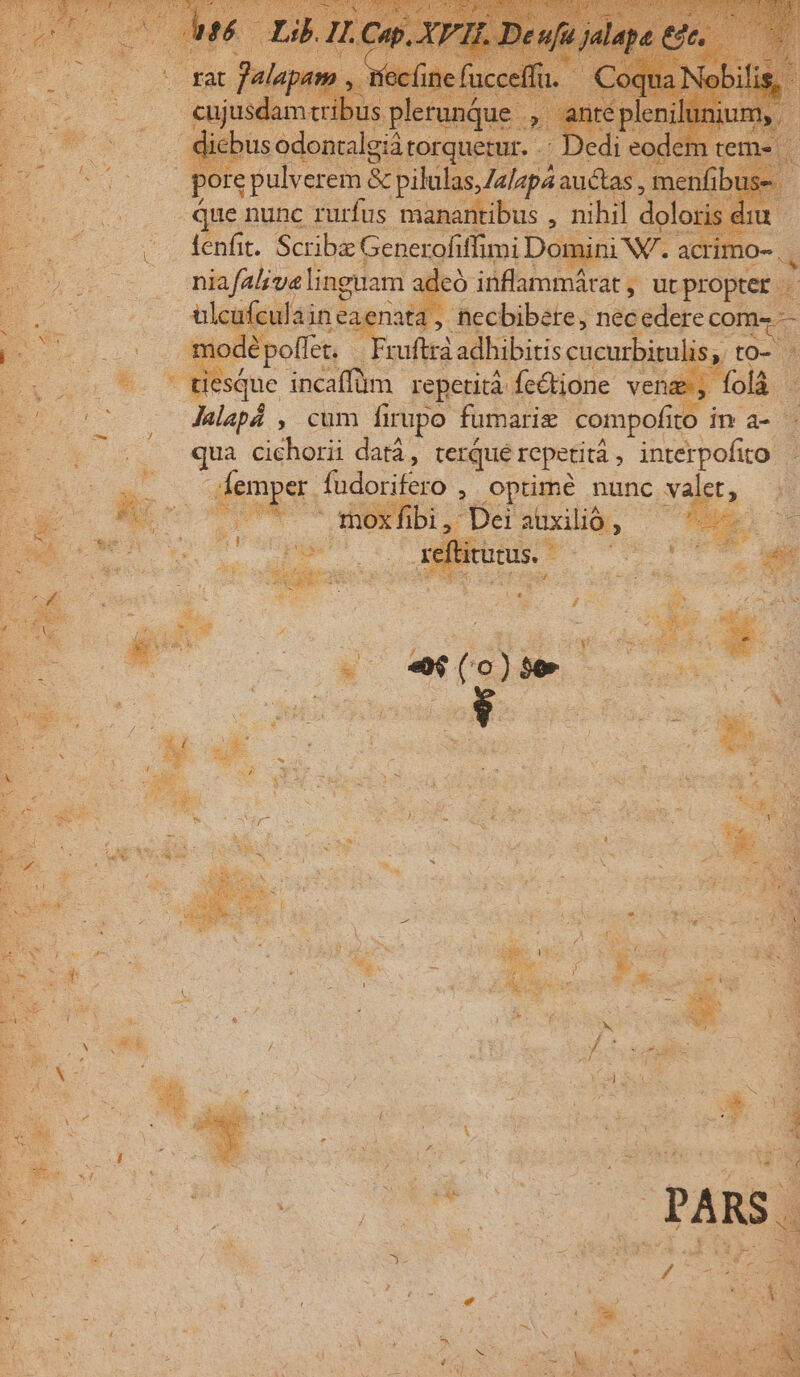 epu ecd x pilul 3,7 lap. » que nunc rurfus manantibus , n E. Scribe Generofiffimi Doi ain ! hiafalveli linguam adeó inflammárat ,- urpropter . xüfculaineaenata , necbibere, necedere com^. : ?polfet. ruftrà adhibitis cucurbita is, to tesque incaffüm repetità fedi Jalapá , cum firupo fumarig. compofito | qua FX datá, terqué repetità , interpofito -