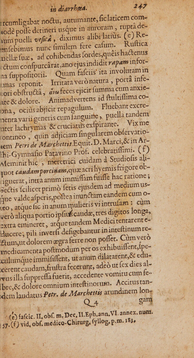 iori obftru&amp;tà, dwfecesej icit fumma cum apxie- ate&amp; dolore. | Animadvertens id ftultiffima co-. Meminit hic , meretrici cuidam à Studiofis ali- quot caudam porcinam qua acrihy emisfrigore ob- . 'jeuerat , intra anum immiffam fuiffe hac ratione; ge&amp;tis fcilicet primó fetis ejus dem ad medium us- Sue valdeafperis,pottea inunctam eandem cum o- eo , atque fic inanum mulieris vi intrufam : cüm | vero aliqua portio ipfiu$caude, ttes digitos longa, 2Xtfa emineret ; atquetandem Medicitentarent e- ducere; pili inverfi defigebantur ininteftinumre- ftum;ut dolorem egra fezre non poffer. Cüm veró medicamenta poftmodum peros exhibuiffentlpe- - xiilumqueimmififfent, utanum dilatarent,&amp; edu- cerent caudam,fruftra fecerunt, adeó ut fex dies al- xusilla fuppreffa fuerit, accedente vomitu cum fe« Ibre,&amp; dolore omnium ;nteftinorum. Accitustan- dera laudatus Petr. de Marchettis arundinem lon- Du dt Bid sca | ^£) fafcic. II, obf. m. Dec, ILEph.ann, VI. annex. nur. $7 (£) vid, obf. medico-Chirurg, (yllog, p.m.183»