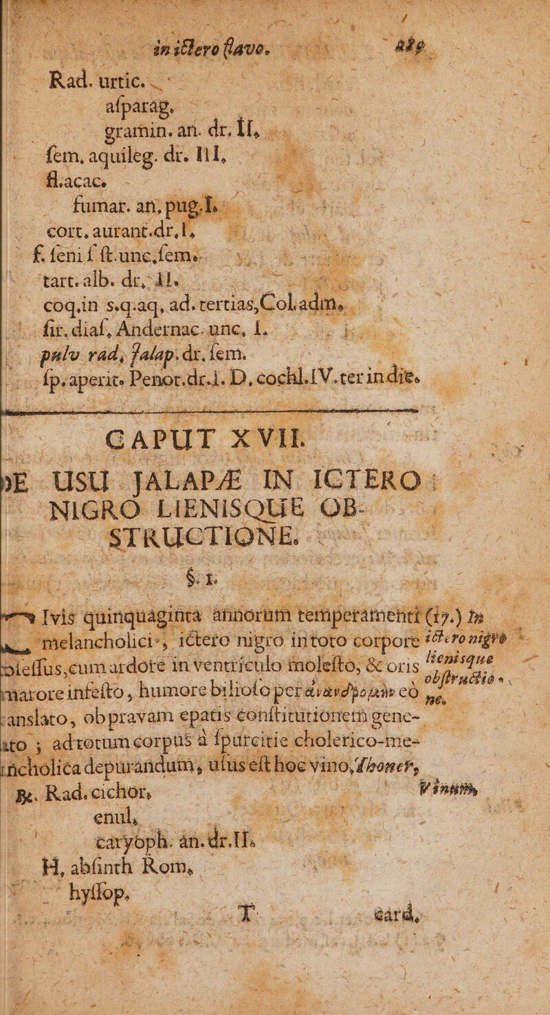 afparag. - Ew 5. quaihip. ar de Te EN oue FERSQU fem, aquileg. dr. ILL, E Ékacac. ET cort, aurant. .dr,l, Pw de feni f ft. unc. fem. qu tart. alb. dr. ds o -. €oq.in s.q.aq, ad. tertias, Col, ac dit. diaf, Andemac.ane, L0 0. koe M rad, falap .dr. iem. Lr e. prn adi Psocdel D. diia ter indi. M  quinquagiacs d ifie ' cholici*, . 1t0tO c 3i effus, um ardote i in Greci fotos fnoleí ;&amp; marore infefto, . humore biliofoj per diavdso hs ws | anslato, ob pravam epaus conítiturionem gene-. T Ks pron corpus d Ípurci ie cholerico-ie« CUM : n ilüseft oc vino, Mbonehs - L^ p L PHP Wr - ur r m. dL Case [ ^. tdryoph. ice gio * Fe abünth Rom, —— — ^. DNE r : X. ont pe uu 1 t