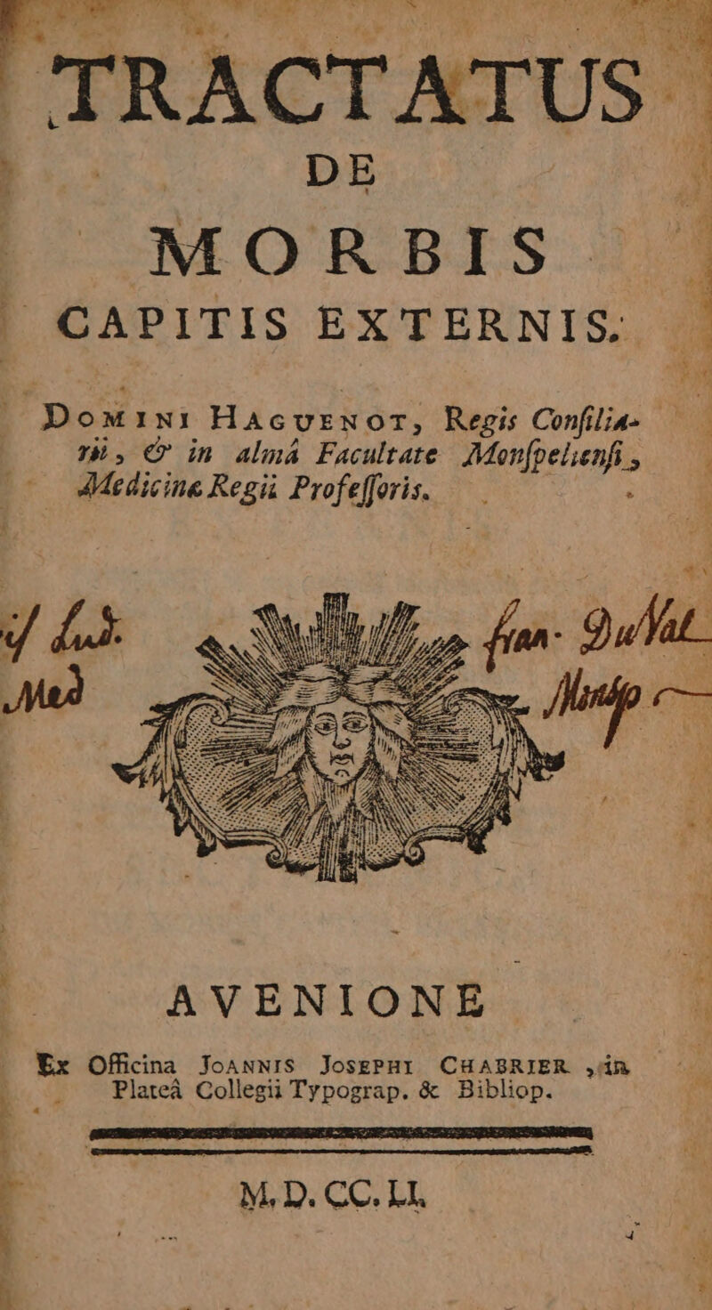 TRAC! CT ATUS. E DE ea : I CAPITIS EXTERNIS, Doxixi HAcUENOT; Regis Conflit. — — 5. € in almá Facultate Monfpelienfi, — Medicine Regii Profefforis. — : | AVENIONE Xx Offidina JoawNIS JosgPHI CHABSRIER ,in Plateà o Typograp. &amp; Bibliop. 1 M, D. CC. 