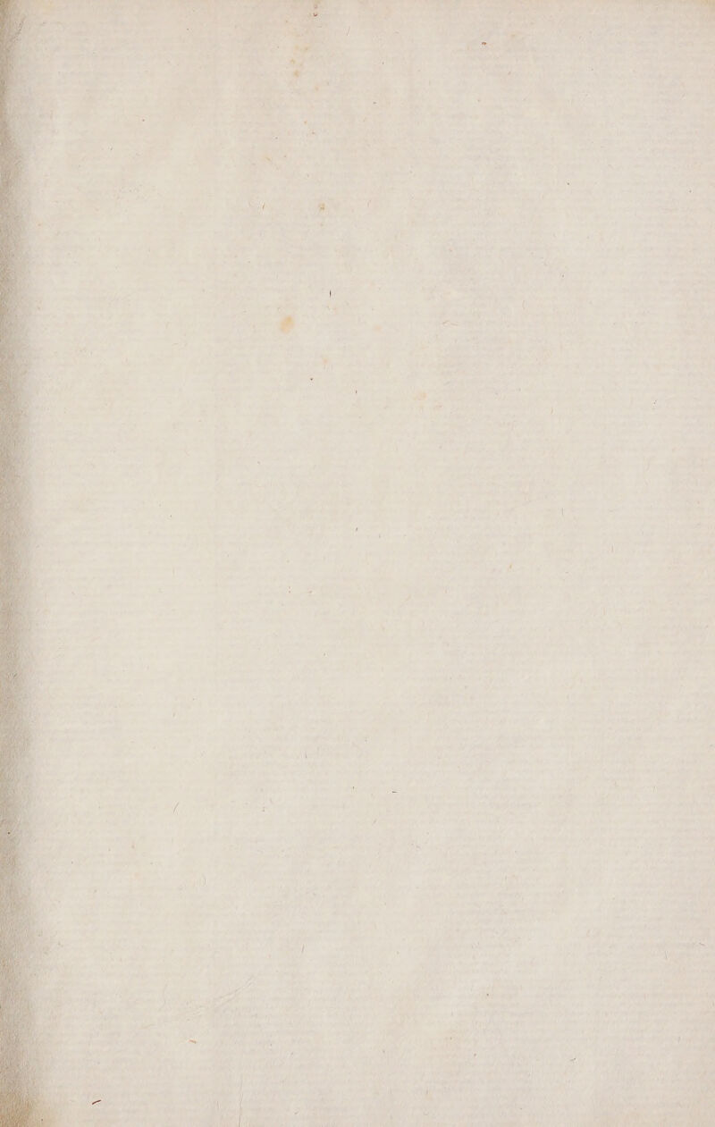 Co ena : y 1 s . I 1 Ñ » 7 , 4 ' pl ' n Eze p , id A j I | U y ha , qn t ae a Y Ms . 1] y Ñ ñ  . ) 1 Ú Y y Hon 4 y . , Ñ ñ - y y 5 det  4  7 Ñ A ee ás % MAA