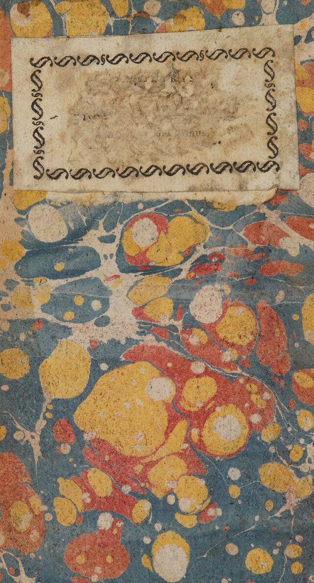 No text description is available for this image