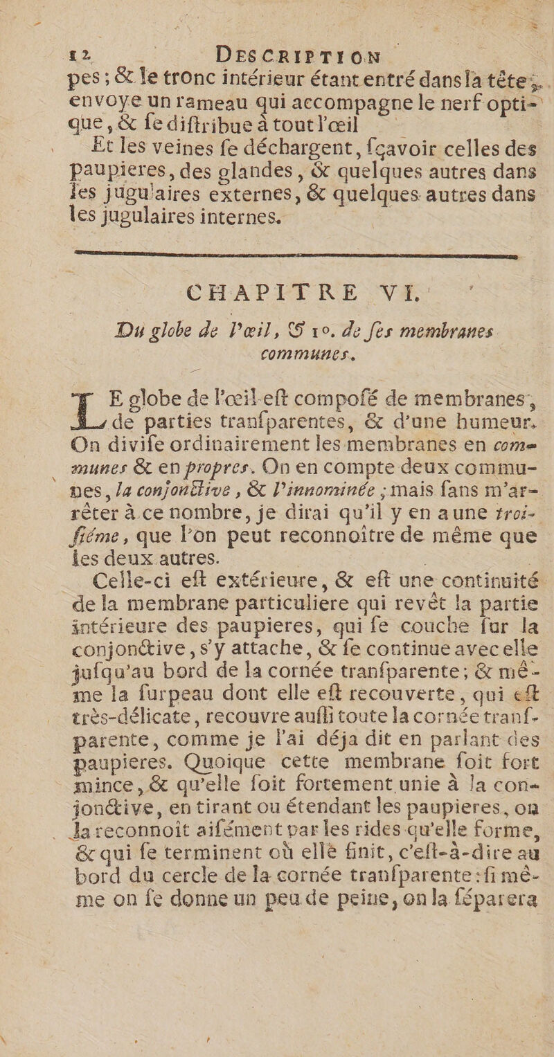 pes ; &amp; le tronc intérieur étantentré dansla tête: envOoye Un rameau qui accompagne le nerf opti= que, &amp; fediftribueàtoutl'œil Et les veines fe déchargent, fcavoir celles des paupieres, des glandes , &amp; quelques autres dans fes jugu'aires externes, &amp; quelques autres dans les jugulaires internes. CHAPITRE VE: Du globe de Pœil, 5 vo. de Jes membranes COMMunes. 1° globe de l'œil-eft compofé de membranes, de parties tranfparentes, &amp; d’une humeur. On divife ordinairement les membranes en com munes &amp; en propres. On en compte deux commu- ves, /4 conjonitive , &amp; l’innominée ; mais fans m'ar- rêter à ce nombre, je dirai qu’il y en aune #roi- fiéme, que l’on peut reconnoitre de même que les deux autres. | | Celle-ci eft extérieure, &amp; eft une continuité de la membrane particuliere qui revèt la partie intérieure des paupieres, qui fe couche fur la conjonctive, sy attache, &amp; fe continue avecelle jufqu’au bord de la cornée tranfparente; &amp; mé- me la furpeau dont elle eft recouverte, qui eft très-délicate, recouvre auff toute la cornéetranf. parente, comme je l'ai déja dit en parlant des paupieres. Quoique cette membrane foit fort mince, &amp; qu’elle foit fortement unie à la con jonétive, en tirant ou étendant les paupieres, on . Ja reconnoïit aifément par les rides qu’elle forme, &amp; qui fe terminent où ellé finit, c'eft-ä-dire au bord du cercle de la cornée tranfparente :fi mè- me on fe donne un peu de peine, on la féparera