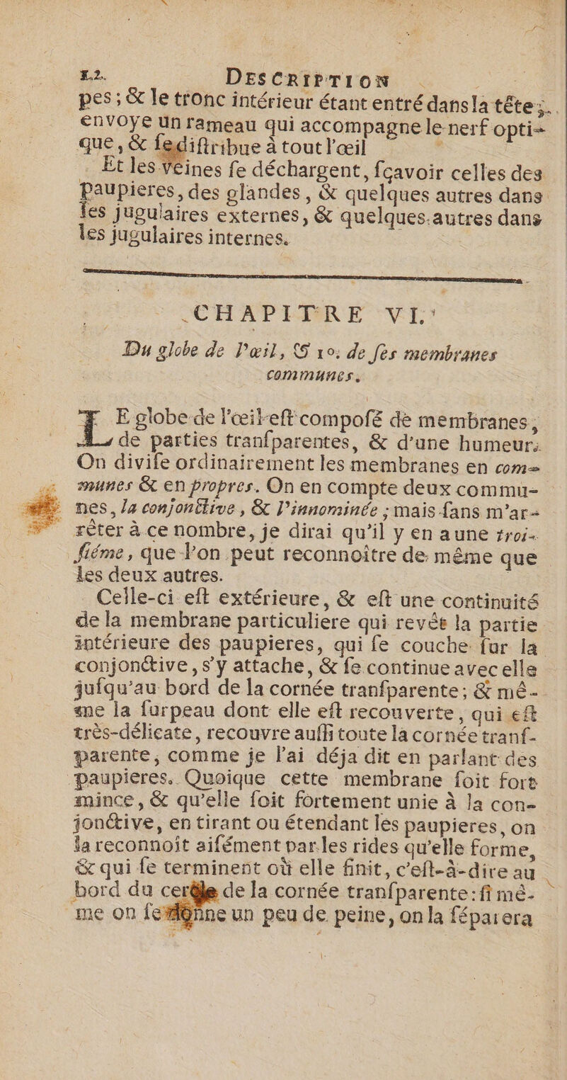 pes; &amp; le tronc intérieur étant entré dansla têtes. ERVOYE Un lameau qui accompagne le nerf opti- que, &amp; fediftribue à tout l'œil ï Et les Vêines fe déchargent, fçavoir celles des Paupieres, des glandes, &amp; quelques autres dans Tes jugulaires externes, &amp; quelques.autres dans les jugulaires internes. | EHAPIMRE VL: Du globe de l'œil, S vo: de [ès membranes COMMHnESs., EN ie l'œiteft compolé dé membranes, 2. de parties tranfparentes, &amp; d’une humeur. On divife ordinairement les membranes en cm unes &amp;t en propres. On en compte deux commu- : nes, la conjontlive, &amp; l’innominée ; mais fans m’ar- _ rèter à ce nombre, je dirai qu’il y en aune #roi fiéme, que Von peut reconnoitre de même que les deux autres. | Celle-ci eft extérieure, &amp; elt une continuité de la membrane particuliere qui revée la partie intérieure des paupieres, qui fe couche fur la conjonétive, s’y attache, &amp; fe continue avec elle jufqu’au bord de la cornée tranfparente; &amp; mé- sne la furpeau dont elle eft recouverte, qui ef très-délicate, recouvre auff toute la cornée tranf- parente, comme je lai déja dit en parlant des Paupieres. Quoique cette membrane foit fort mince , &amp; qu’elle foit fortement unie à Ja con- jonétive, en tirant ou étendant Îles paupieres, on la reconnoît aifément par les rides qu’elle forme, &amp; qui fe terminent où elle finit, c’eft-à-dire au bord du cerêle de la cornée tranfparente:fi mé- _me on fe#l@ñne un peu de peine, on la féparera DT