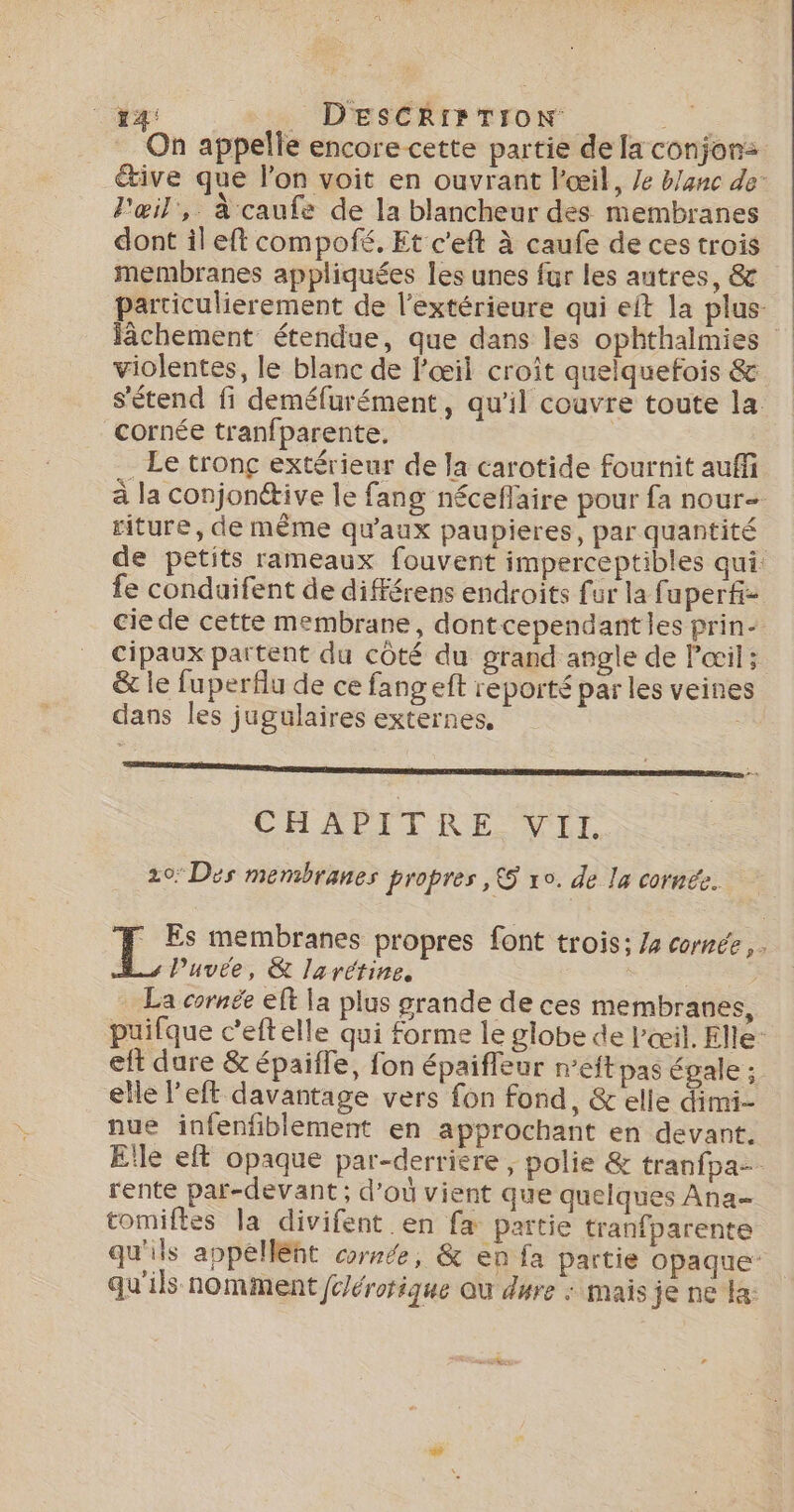 +4 _ DESCRiSTIoN On appelle encore cette partie de a conjon: tive que l’on voit en ouvrant l'œil, /e blanc de” l'œil, à caufe de la blancheur des membranes dont il eft compofé, Et c'eft à caufe de ces trois membranes appliquées les unes fur les autres, &amp; particulierement de l’extérieure qui eft la plus- jâchement étendue, que dans les ophthalmies violentes, le blanc de l'œil croît quelquefois &amp; s'étend fi deméfurément, qu'il couvre toute la cornée tranfparente. | - Le tronç extérieur de la carotide fournit auffi à la conjonctive le fang néceflaire pour fa nour- riture, de même qu'aux paupieres, par quantité de petits rameaux fouvent imperceptibles qui. fe conduifent de différens endroits fur la fuperf- cie de cette membrane, dontcependant les prin- Cipaux partent du côté du grand angle de l'œil; &amp; le fuperflu de ce fangeft reporté par les veines dans les jugulaires externes. æ CHAPIERE LE 20: Des membranes propres ,5 xo. de la cornée. * Es membranes propres font trois: /4 cornée. Puvée, &amp; larétine. La cornée eff la plus grande de ces membranes, puifque c’eftelle qui forme le globe de l'œil. Elle: eft dure &amp; épaille, fon épaifleur n’eft pas égale ; elle l'eft davantage vers fon fond, &amp; elle dimi- nue infenfiblement en approchant en devant. Elle eft opaque par-derriere ; polie &amp; tranfpa- rente par-devant; d’où vient que quelques Ana tomiftes la divifent en fa partie tranfparente qu'ils appellént œyrée, &amp; en fa partie opaque: qu'ils nomment fc/érorique Qu dure : mais jene ka:
