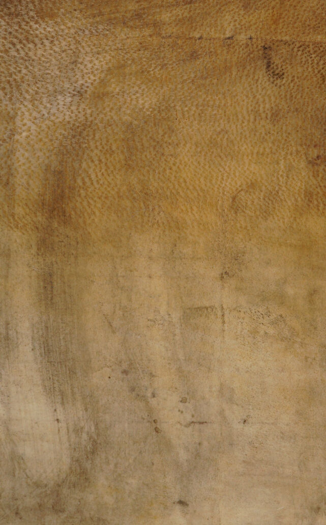 digitised image 1