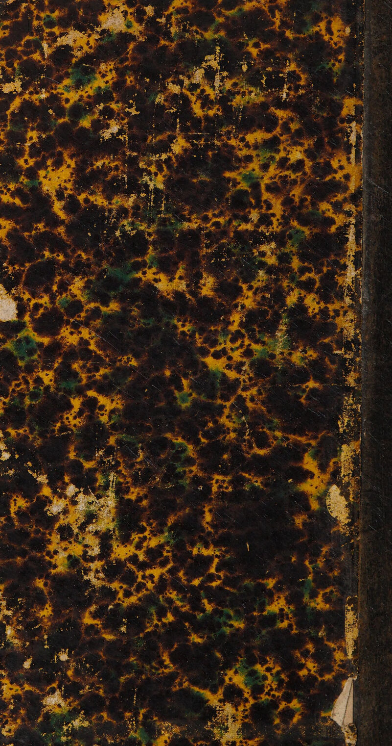 No text description is available for this image