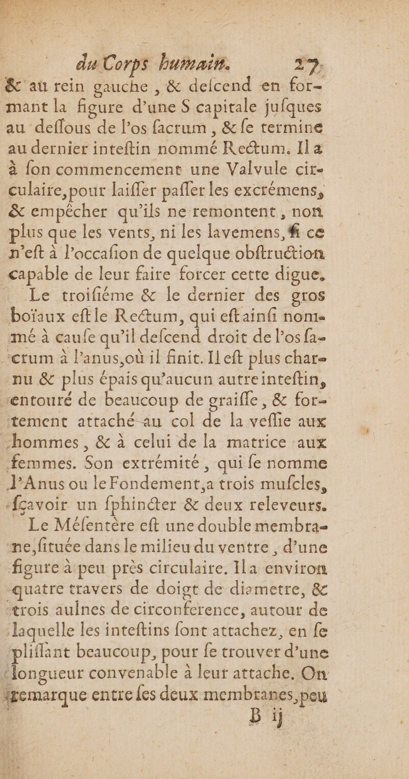 du Corps humain. 27: &amp;'au rein gauche , &amp; delcend en for- mant la figure d’une S capitale jufques au deffous de l'os facrum , &amp; fe termine au dernier inteftin nommé Reétum. Il a à fon commencement une Valvule cir- culaire, pour laiffer paffer les excrémens, &amp; empêcher qu’ils ne remontent, non plus que les vents, ni les lavemens,# ce n'eft à l’occafion de quelque obftruction &lt;apable de leur faire forcer cette digue. | Le troifiéme &amp; le dernier des gros boïaux eftle Reétum, qui eftainfi nome ‘mé à caufe qu’il defcend droit de Pos fa- -crum à lanus,où il finit. ILeft plus char nu &amp; plus épais qu'aucun autreinteftin, “entouré de beaucoup de graille, &amp; for- tement attaché au col de la veflie aux “hommes , &amp; à celui de la matrice aux femmes. Son extrémité , qui fe nomme J'Anus ou le Fondement,a trois mufcles, ‘fçavoir un fphinéter &amp; deux releveurs. _ Le Méfentère eft une double membra= ne, fituée dans le milieu du ventre , d’une figure à peu près circulaire. Ila environ -quatre travers de doigt de dizmetre, &amp; trois auines de circonference, autour de laquelle les inteftins font attachez, en fe pliant beaucoup, pour fe trouver d’une «longueur convenable à leut attache. On remarque entre {es deux membranes peu Bi