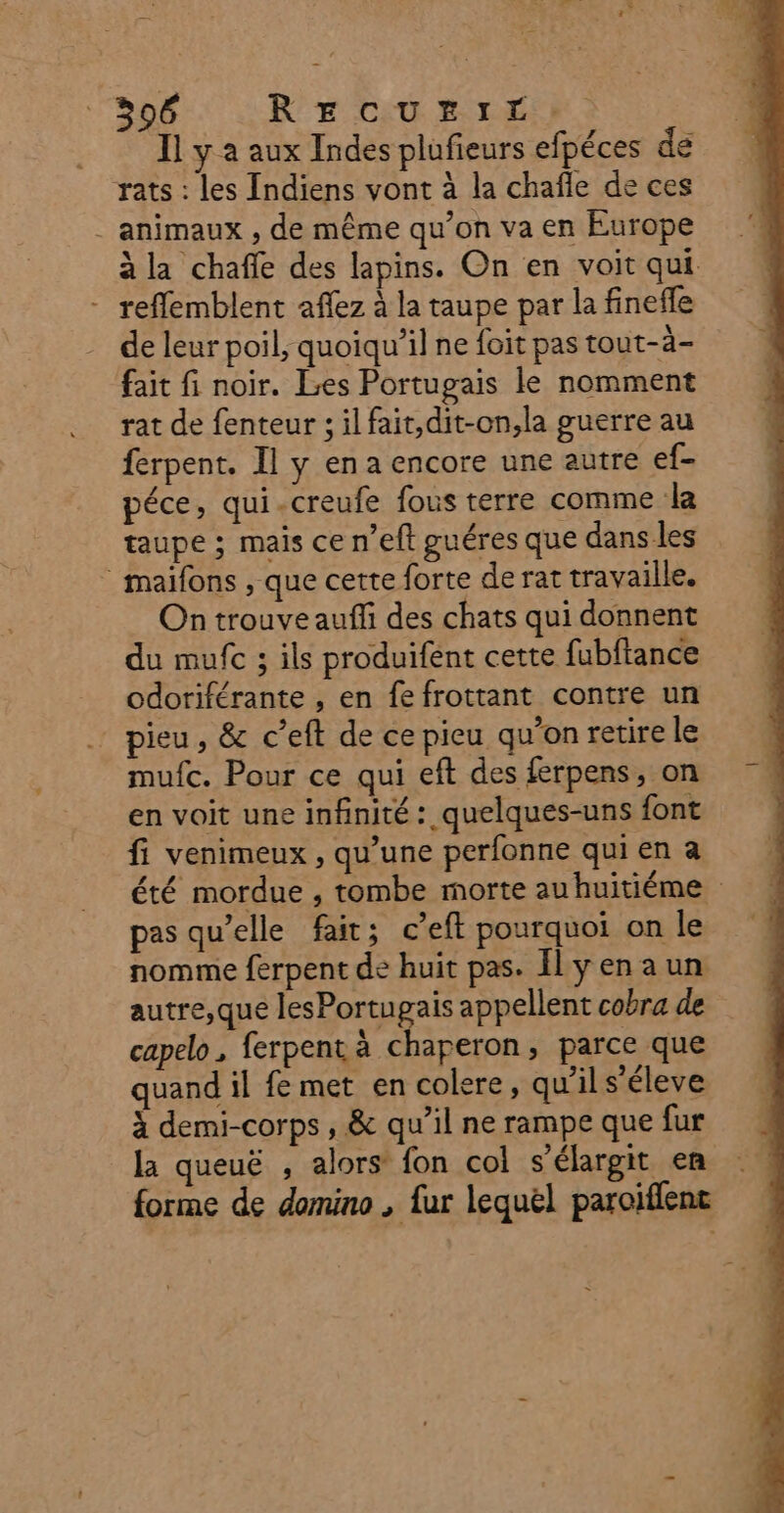 96 RE CU RLER. Il y a aux Indes plufieurs efpéces de rats : les Indiens vont à la chafle de ces . animaux , de même qu’on va en Europe à la chaffe des lapins. On en voit qui - refflemblent aflez à la taupe par la finefle de leur poil, quoiqu'il ne foit pas tout-à- fait fi noir. Les Portugais le nomment rat de fenteur ; il fait,dit-on,la guerre au ferpent. Il y en a encore une autre ef- péce, qui-creufe fous terre comme la taupe ; mais ce n’eft guéres que dans les maifons , que cette forte de rat travaille. On trouve auffi des chats qui donnent du mufc ; ils produifent cette fubftance odoriférante , en fefrottant contre un pieu, &amp; c’eft de ce pieu qu’on retire le mufc. Pour ce qui eft des ferpens, on en voit une infinité : quelques-uns font fi venimeux , qu’une perfonne qui en a été mordue , tombe morte auhuitiéme pas qu’elle fait; c’eft pourquoi on le nomme ferpent de huit pas. Il yen aun autre,que les Portugais appellent cobra de capelo, ferpent à chaperon, parce que quand il fe met en colere, qu’il s’éleve à demi-corps , &amp; qu’il ne rampe que fur la queuë , alors fon col s’élargit en forme de domino , fur lequél paroiffent