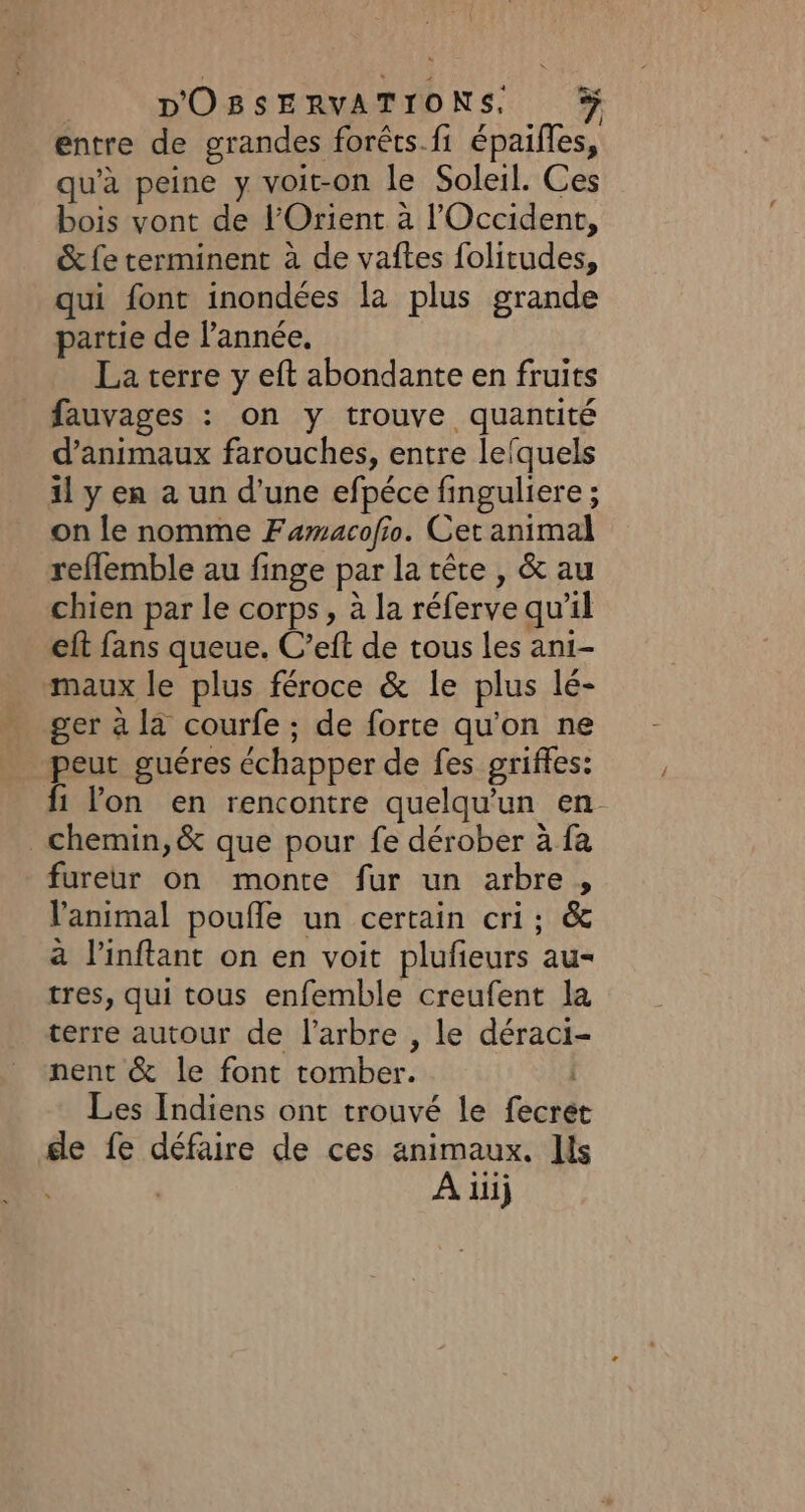 | DOBSERVATIONS, entre de grandes forêts.fi épailles, qu'à peine y voit-on le Soleil. Ces bois vont de l'Orient à l'Occident, &amp;fe terminent à de vaftes folitudes, qui font inondées la plus grande partie de l’année. La terre y eft abondante en fruits fauvages : on y trouve quantité d'animaux farouches, entre lefquels il y en a un d'une efpéce finguliere ; on le nomme Famacofio. Cet animal refflemble au finge par la tête , &amp; au chien par le corps, à la réferve qu'il eft fans queue. C’eft de tous les ani- maux le plus féroce &amp; le plus lé- ger à là courfe ; de forte qu'on ne peut guéres échapper de fes griffes: fi lon en rencontre quelqu'un en chemin, &amp; que pour fe dérober à fa fureur on monte fur un arbre , animal poufle un certain cri; &amp; à l’inftant on en voit plufieurs au- tres, qui tous enfemble creufent la terre autour de l'arbre , le déraci- nent &amp; le font tomber. | Les Indiens ont trouvé le fecret de fe défaire de ces animaux. Ils À iiij