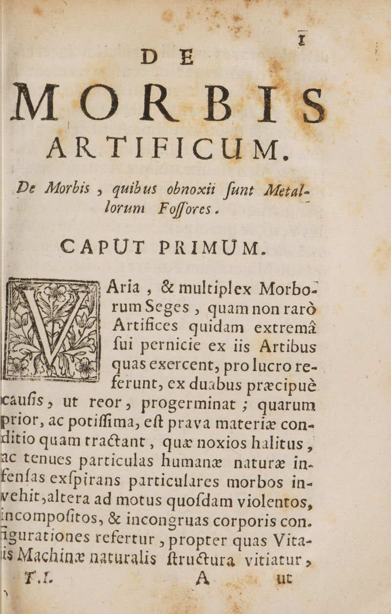 EN we g cx. . * MORBIS | TAN S dale Ut AR TIFICUM,. De Morbis , quibus obnoxii funt Metal- | lorum | Foffores . ; CAPUT PRIMUM. Sedi Aria ; &amp; multiplex Morbo- ZZ ^JI rumSeges , quamnon raró (ASA Artifices quidam extrema fA fui pernicie ex iis Artibus quas exercent, prolucrore- | 77 ferunt, ex duabus precipue. caufis, ut reor, progerminat ; quarum prior, ac potiffima, eft prava materiz con- ditio quam tractant , qua noxios halitus , 4c tenues particulas humanz naturz in- fenías exfpirans particulares morbos in- vehit;altera ad motus quofdam violentos, incompofitos, &amp; incongruas COrporis con. 1gurationes refertur , propter quas Vita- 1$ Machinz naturalis ftructura. vitiatur , BT... | A- Qu Wi E - m 