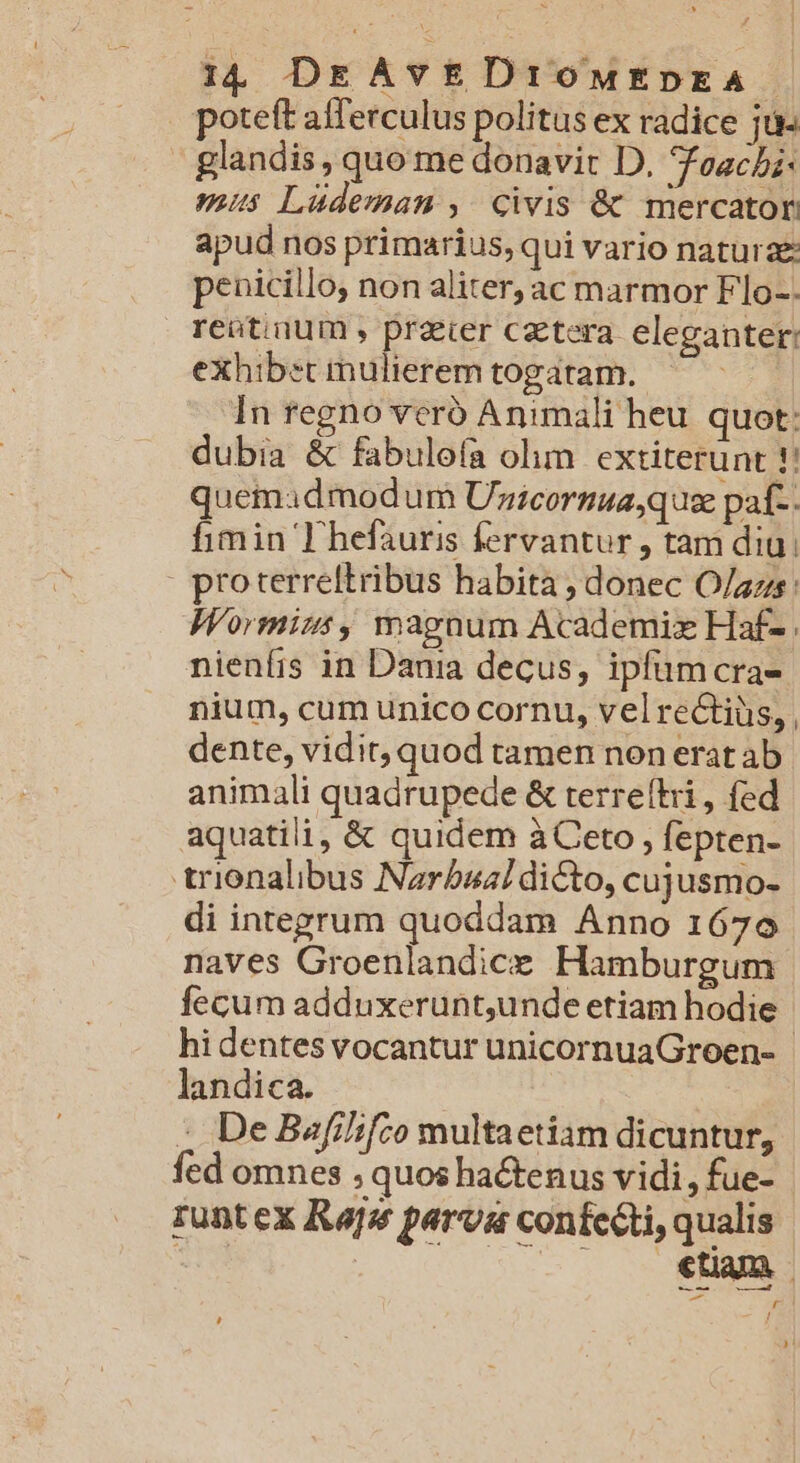 ig DEAvED1rOoMEDEA |. | poteft afferculus politus ex radice ju. glandis , quo me donavit D. Joachi- mus Lüdeman , civis &amp; mercator apud nos primarius, qui vario naturae: penicillo, non aliter, ac marmor Flo-. reüt.ium , prater caetera. eleganter: exhibet inulierem togatam.. In regno veró Animali heu. quot: dubia &amp; fabulofa olim. extiterunt !! quemadmodum Unicornua,qua paf-. fimin T hefauris fervantur , tam diu: | proterreltribus habita , donec O/azs: W'ormims, magnum Academix Haf- nienfis in Dania decus, ipfümcra- nium, cum unico cornu, vel rectiüs, , dente, vidit, quod tamen non erat ab animali quadrupede &amp; terre(tri , fed aquatili, &amp; quidem à Ceto , fepten- trionalibus Narbzz! dicto, cujusmo- di integrum quoddam Anno 1670 naves Groenlandice Hamburgum fecum adduxerunt,unde etiam hodie hi dentes vocantur unicornuaGroen- | landica. : De Bafilifco multaetiam dicuntur, fed omnes , quos hactenus vidi, fue- Iunt ex Rajz parva confecti, qualis | to lu p EBME )