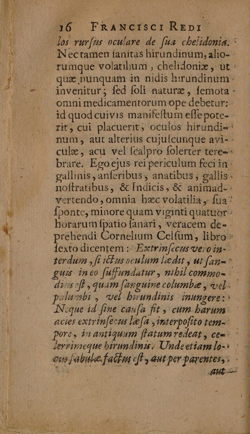 jos vur[us oculare de.[ua cbelidonia; * INectamen fanitas hirundinum, alio- rumque volatiluni ; chehdonix , ut : quz nunquam in nidis hirundinum- invenitur; fed foli naturz , femota - omni medicamentorum ope debetur: - id quod cuivis manifeftum effepote- - rit, cui placuerit; oculos hirundie num , aut alterius cujufcunque avi- - cule, acu vel fealpro folerter tere- brare. Egoejus rei periculum feci in : gallinis ,anferibus anatibus ; gallis noftratibus, &amp; Indicis, &amp; animad-: vertendo, omnia hzc volatilia ,- fua: Ípontc, minore quam viginti quatuor : horarum fpatio fanari, veracem de- prehendi Cornelium Celfum, libro * fexto dicentem :- Extrinz[ecus vero in- terdusm , [i ibus oculum ledit y ut fan guis ineo fuffundatur , nibil commos. dics eff , quam [anguine columbe , sod] - alumbi , vel birundinis nittagere : JN:que id fine caufa fit ,' cum barum. - acies extrin[ecus lea yimterpofito tem-- pore, in antiquam flatum redeat, cem ^. - Jerrirzeque birundinzs: Undeetiamlo-* : — cus jfabule. fatti cff dut per parentes ^ pom P ^