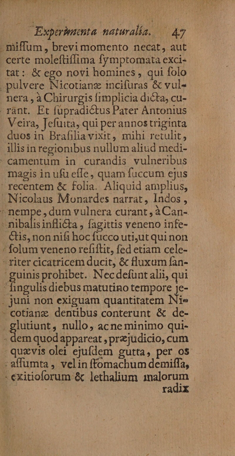 - miffum, brevi momento necat, aut certe moleftiflima fymptomata exci- tat: &amp; ego novi homines , qui folo pulvere Nicotianz incifuras &amp; vul- nera , à Chirurgis fimplicia dicta, cu- rant. Et füpradictus Pater Antonius Veira, Jefuita, qui per annos triginta duos in Brafilia vixit, mihi retulit, illis in regionibus nullum aliud medi- -camentum in curandis vulneribus magis in ufü effe, quam fuccum ejus  recentem &amp; folia. Aliquid amplius, . Nicolaus Monatdes narrat, Indos , * nempe , dum vulnera curant , àCan- ' nibalis infli&amp;ta , fagittis veneno infe- tis, non nifi hoc fucco uti,ut qui non ' folum veneno refiftit, fed etiam cele-  riter cicatricem ducit, &amp; fluxum fan- ' guinis prohibet. Necdefunt alii, qui  hingulis diebus matutino tempore Je- . juni non exiguam quantitatem Ni- - cotiane dentibus conterunt &amp; de- . glutiunt, nullo, acne minimo qui- - dem quod appareat , przzjudicio, cum -quzvis olei ejufdem gutta, per os :affumta, velinftomachum demiffa, - exitioforum &amp; lethalium 1nalorum radix