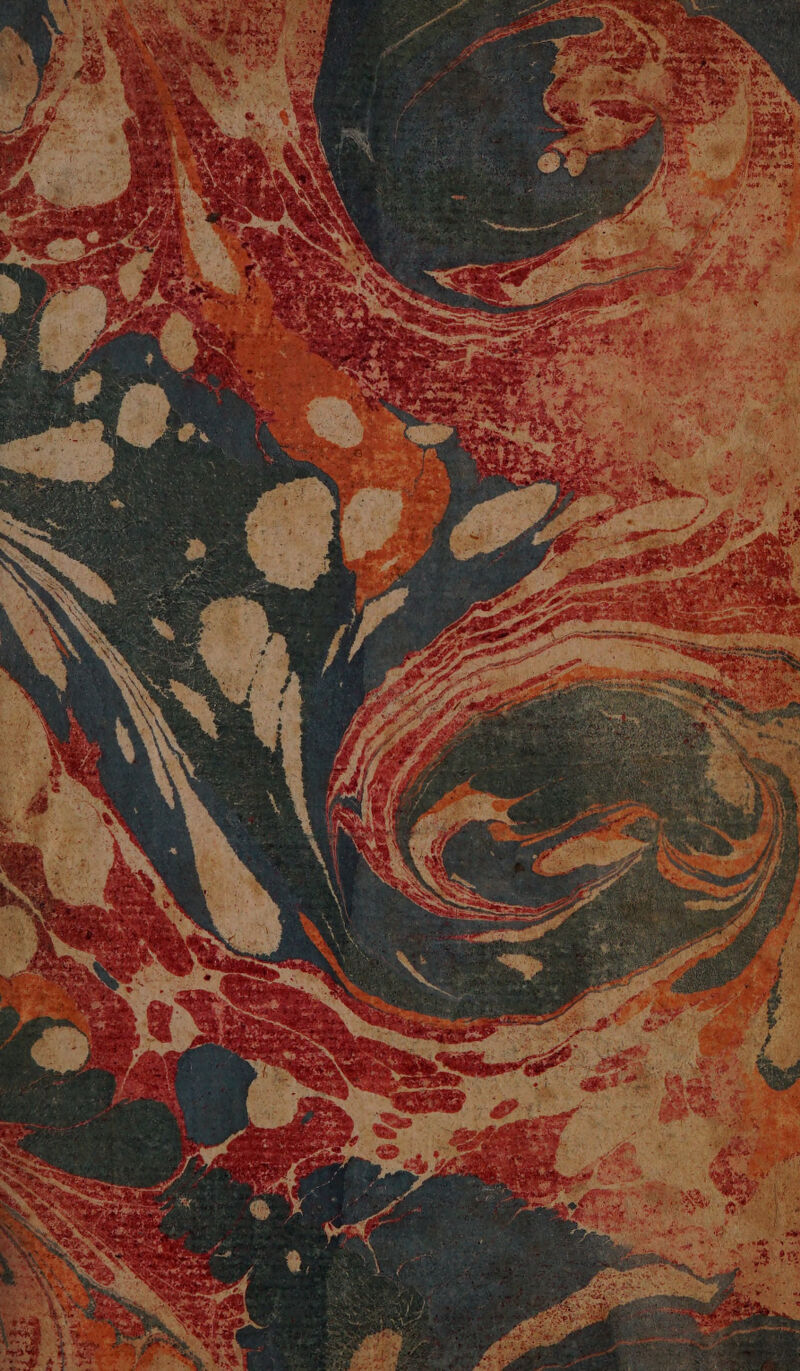 No text description is available for this image