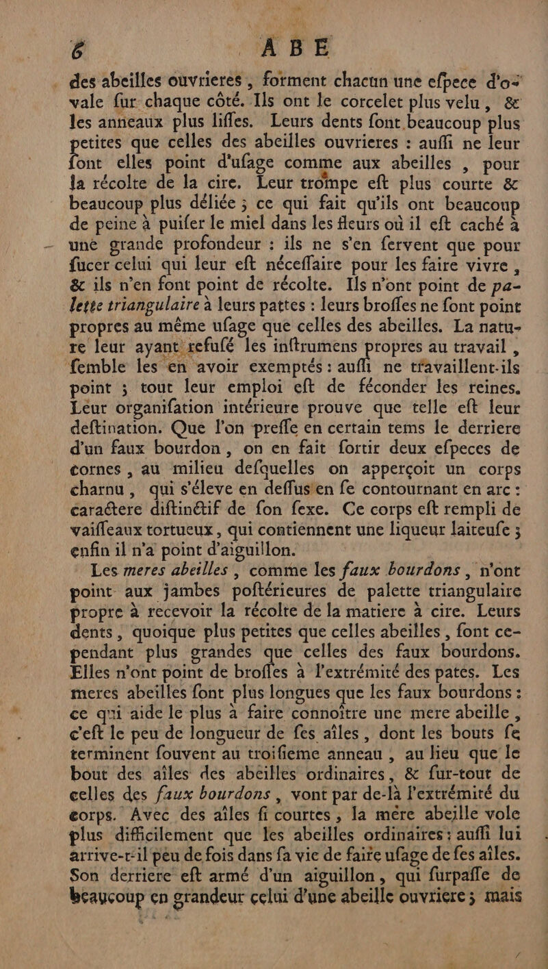 von 6 ‘ABE des abeilles ouvrieres , forment chacun une efpece d'o= vale fur chaque côté. Ils ont le corcelet plus velu, &amp; les anneaux plus lifles. Leurs dents font beaucoup plus etites que celles des abeilles ouvrieres : auffi ne leur Ton elles point d'ufage comme aux abeilles | pour {a récolte de la cire. Leur trompe eft plus courte &amp; beaucoup plus déliée ; ce qui fait qu'ils ont beaucoup de peine à puifer le miel dans les fleurs où il eft caché à une grande profondeur : ils ne s'en fervent que pour fucer celui qui leur eft néceffaire pour les faire vivre, &amp; ils n’en font point de récolte. Ils n’ont point de pa- lette triangulaire à leurs pattes : leurs broffes ne font point propres au même ufage que celles des abeilles. La natu- re leur ayant refufé les inftrumens Aus au travail , femble les en avoir exemptés : aufli ne tfavaillent.ils point ; tout leur emploi eft de féconder les reines. Leur organifation intérieure prouve que telle eft leur deftination. Que l’on preffe en certain tems le derriere d’un faux bourdon, on en fait fortir deux efpeces de cornes , au milieu defauelles on apperçoit un corps charnu , qui s'éleve en deffus'en fe contournant en arc: caractere diftinétif de fon fexe. Ce corps eft rempli de vaifleaux tortueux, qui contiennent une liqueur laiteufe 3 enfin il n’a point d’aiguillon. Les meres abeilles | comme les faux bourdons , n'ont point aux jambes poftérieures de palette triangulaire propre à recevoir la récolte de la matiere à cire. Leurs dents, quoique plus petites que celles abeilles , font ce- pendant plus grandes que celles des faux bourdons. Elles n'ont point de brofles à l'extrémité des pates. Les meres abeilles font plus longues que les faux bourdons : ce qui aide le plus à faire connoître une mere abeille, c'eft le peu de longueur de fes aîles, dont les bouts fe terminent fouvent au troifieme anneau , au lieu que le bout des aîles des abeilles ordinaires, &amp; fur-tout de celles des faux bourdons , vont pat de-là l'extrémité du æorps. Avec des aîles fi courtes ; la mére abeille vole plus difficilement que les abeilles ordinaires ; auffi lui arrive-r‘il peu de fois dans fa vie de faire ufage de fes aîles. Son derriere eft armé d’un aiguillon, qui furpaffe de beayçoup en grandeur celui d'une abeille ouvricre; mais