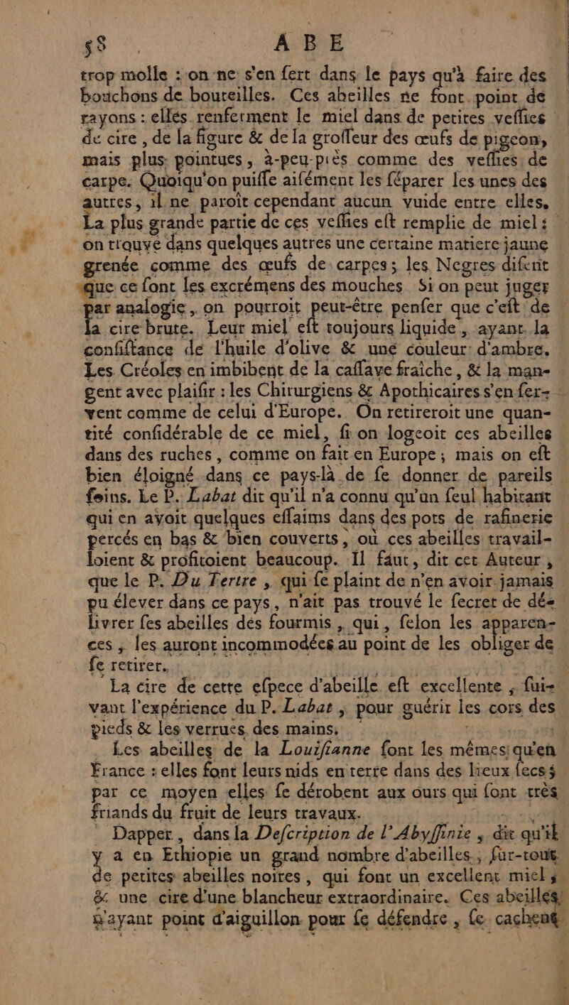 sS , ABE trop molle : onne s'en fert dans le pays qu'à faire des bouchons de bouteilles. Ces abeilles re font. point de rayons : ellés renferment le miel dans de petites veffies de cire , de la figure &amp; de Ia groffeur des œufs de pigeon, mais plus: pointues, à-peu-piès comme des vefhes, de carpe. Quoiqu'on puilfe aifément les féparer les unes des re ilne paroït cependant aucun vuide entre elles, a plus grande partie de ces veflies elt remplie de miel: on trouvé dans quelques autres une certaine matiere jaune grenée comme des œufs de.carpes;s les Negres difent que ce fant les excrémens des mouches. Si on peut juger Fer analogie , on pourroit peut-être penfer que c'eit de . cire brute. Leur miel eft toujours liquide, ayant. la confiftance de l'huile d'olive &amp; uné couleur: d'ambre, Les Créoles en imbibent de la caflave fraiche, &amp; la man- gent avec plaifr : les Chirurgiens &amp; Apothicairess'enfer- : vent comme de celui d'Europe. On retireroit une quan- tité confidérable de ce miel, fi on logcoit ces abeilles dans des ruches, comme on fait en Europe; mais on eft bien éloigné dans ce pays-là de fe donner de pareils foins. Le P. Labat dit qu'il n’a connu qu’on feul habitant qui en avoit quelques effaims dans des pots de rafinerie percés en bas &amp; bien couverts, où ces abeilles travail- loient &amp; profitoient beaucoup. Il faut, dit cet Auteur, que le P. Du Tertre , qui fe plaint de n’en avoir jamais | pu élever dans ce pays, n'ait pas trouvé le fecret de dé+ livrer fes abeilles dés fourmis , qui, felon les apparen- | ces ; les auront incommodées au point de les obliger de fe retirer. TERRA La cire de cette efpece d'abeille eft excellente ; fui- vant l'expérience du P. Labat ; pour guérir les cors des pieds &amp; les verrues des mains, 25 Sy 2800 _ Les abeilles de la Louifianne font les mêmes; quen France : elles font leurs nids en terre dans des lieux fecss par ce moyen elles fe dérobent aux ours qui {ont très friands du fruit de leurs travaux. à + 7 AR Dapper, dansla Defcriprion de l’Abyffinie ; dit qu'il | a en Ethiopie un grand nombre d’abeilles , fur-rout A petites abeilles noires, qui font un excellent miel s, &amp;. une cire d’une blancheur extraordinaire. Ces abeilles) g'ayant point d'aiguillon pour fe défendre , {e. cachent: # d