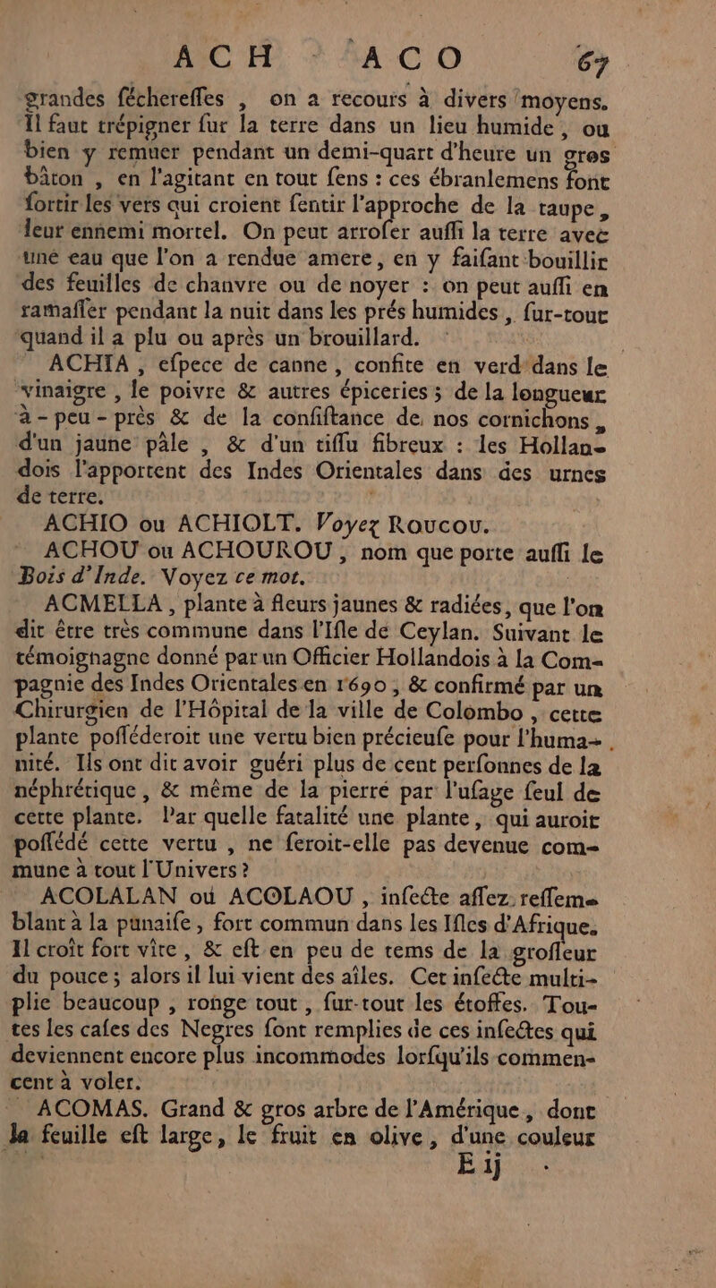ACID > A CO 6} grandes féchereffes , on a recours à divers moyens. Ïl faut trépigner fur la terre dans un lieu humide, où bien y remuer pendant un demi-quart d'heure un OreS bâton , en l’agitant en tout fens : ces ébranlemens font fortir les vers qui croient fentir l'approche de la taupe, leur ennemi mortel. On peut arrofer aufli la terre aveë uné eau que l’on a rendue amere, en y faifant bouillir des feuilles de chanvre ou de noyer : on peut auffi en ramafler pendant la nuit dans les prés humides , fur-tout “quand il a plu ou après un brouillard. | ACHIA , cfpece de canne, confite en verd'dans le ‘vinaigre , le poivre &amp; autres épiceries ; de la longueur à-peu-près &amp; de la confiftance de, nos cornichons , d'un jaune pâle , &amp; d'un tiflu fibreux : les Hollan- dois l'apportent des Indes Orientales dans des urnes de terre. ACHIO ou ACHIOLT. Voyez Roucou. ACHOU où ACHOUROU , nom que porte aufli le Bors d'Inde. Voyez ce mot. | ACMELLA , plante à fleurs jaunes &amp; radiées, que l'on dit être très commune dans l’'Ifle de Ceylan. Suivant le témoignagne donné par un Officier Hollandois à la Com- pagnie des Indes Orientales en r690 , &amp; confirmé par un Chirurgien de l'Hôpital de la ville de Colombo , cette plante pofléderoit une vertu bien précieufe pour l’huma+ . nité. Ils ont dit avoir guéri plus de cent perfonnes de la néphrérique , &amp; même de la pierré par l'ufage feul de certe plante. lar quelle fatalité une plante, qui auroit poffédé cette vertu , ne feroit-elle pas devenue com- mune à tout l'Univers ? ACOLALAN où ACOLAOU , infeéte aflez reffems blant à la punaife, fort commun dans les Ifles d'Afrique. I croît fort vire, &amp; eft en peu de tems de la grofleur du pouce ; alors il lui vient des aîles. Cet infeéte multi plie beaucoup , ronge tout, fur-tout les étoffes. Tou- tes les cales des Negres font remplies de ces infeétes qui deviennent encore plus incommodes lorfqu’ils commen- cent à voler. . ACOMAS. Grand &amp; gros arbre de l'Amérique, dont Ja feuille eft large, le fruit en olive, d'une couleur E 1)