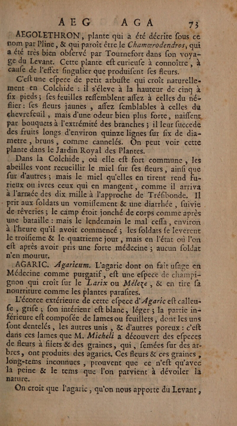 : AEGOLETHRON, plante qui à été décrite fous ce som par Pline, &amp; qui paroît être le Chamærodendros, qui a.été très bien obfervé par Tournefort dans fon voya- ge du Levant. Cette plante eft curieufe à connoître , à caufe de l'effet fingulier que produifent fes fleurs. C'eftune efpece de petit arbufte qui croît naturelle- ment en Colchide : il s'éleve à la jean de cinq à fix. pieds; fes feuilles reffemblent affez à celles du né- fier: fes fleurs jaunes , affez femblables à celles du chevrefeuil | mais d’une odeur bien plus forte, naïflent par bouquets à l'extrémité des branches ; il leur fuccede des fruits longs d'environ quinze lignes fur fix de dia- metre , bruns, comme cannelés. On peut voir cette plante dans Le Jardin Royal des Plantes. Dans la Colchide , où elle eft fort commune , les abeilles vont recueillir le miel fur fes fleurs , ainfi que fur d'autres; mais le miel qu'elles en tirent rend fu- rieux Ou ivres ceux qui en mangent, comme il arriva à l'armée des dix mille à l'approche de Tréfibonde. 11 . prit aux foldats un vomiflement &amp; une diarrhée , fuivie | de-réveries ; le cämp étoit jonché de corps comme après une bataille : mais le lendemain le mal ceffa, environ à l'heure qu'il avoit commencé ; les foldats fe leverent le troifieme &amp; le quatrieme jour , mais en l'état où l’on cft après avoir pris une forte médecine ; aucun foldat n'en mourut. , | .AGARIC. Agaricum, L'agaric dont on fait ufage en Médecine comme purgatif, eft une efpece de champi- gnon qui croît fur le Re ou Méleze , &amp; en tire fa nourriture comme les plantes parafites. L'écorce extérieure de cette efpece d’Agaric eft calleu- fe, grife ; {on intérieur eft blanc, léger 3 la partie in= férieure eft compofée de lames ou feuillets, dent les uns font dentelés, les autres unis , &amp; d’autres poreux : c’eft dans ces lames que M. Micheli à découvert des efpeces de fleurs à fiiets &amp; des graines, qui, femées fur des ar- bres, ont produits des agarics. Ces fleurs &amp; ces graines , Jong-tems inconnues , prouvent que ce n’eft qu'avec la peine &amp; le tems que l'on parvient à dévoiler la nature. On croit que l'agaric ; qu'on nous apporte du Levant,